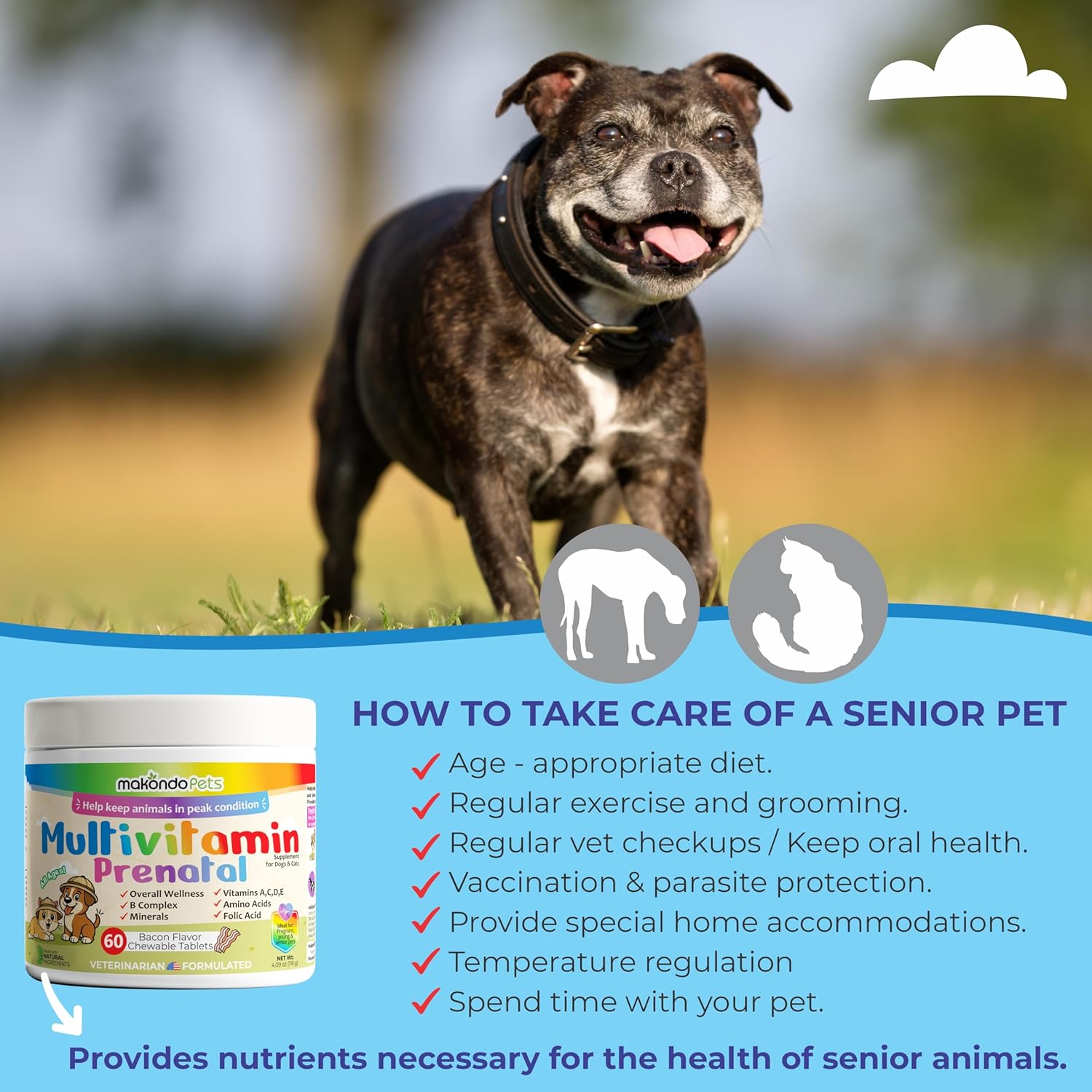 Dog Prenatal Vitamins – Multivitamin for Cats & Dogs, Folic Acid, Calcium, Iron, Minerals and Amino Acids. Ideal for Pregnant, Breastfeeding and Newborn – Senior Dog Supplement, Puppy Multi Vitamin.