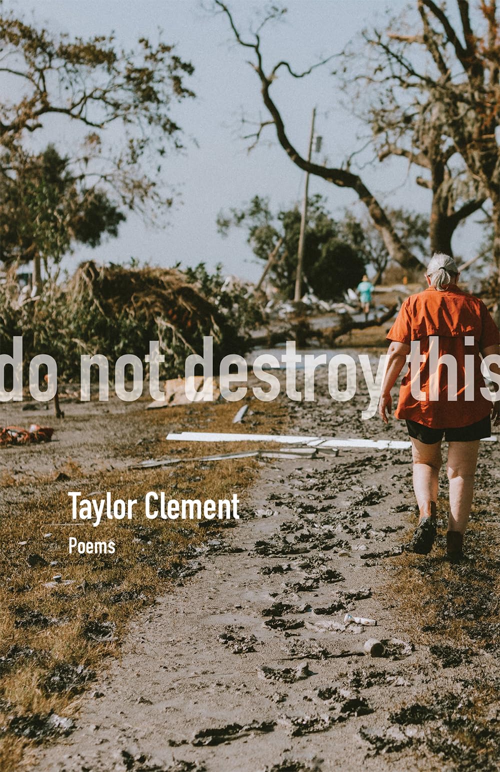 Do not Destroy This, Volume 15: Poems (The Sabine Series in Literature)