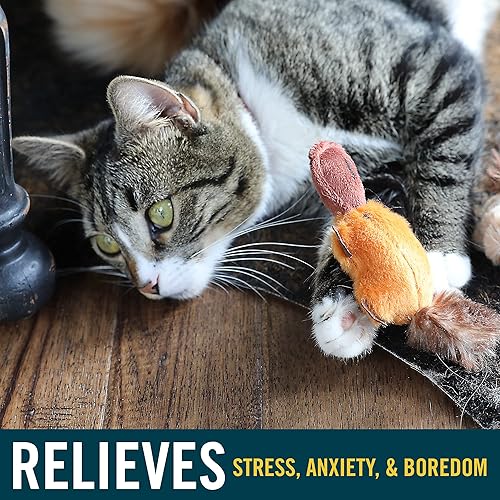 Vista 32 de Juguete para gato OurPets Play-N-Squeak, Ardilla, S, Ardilla