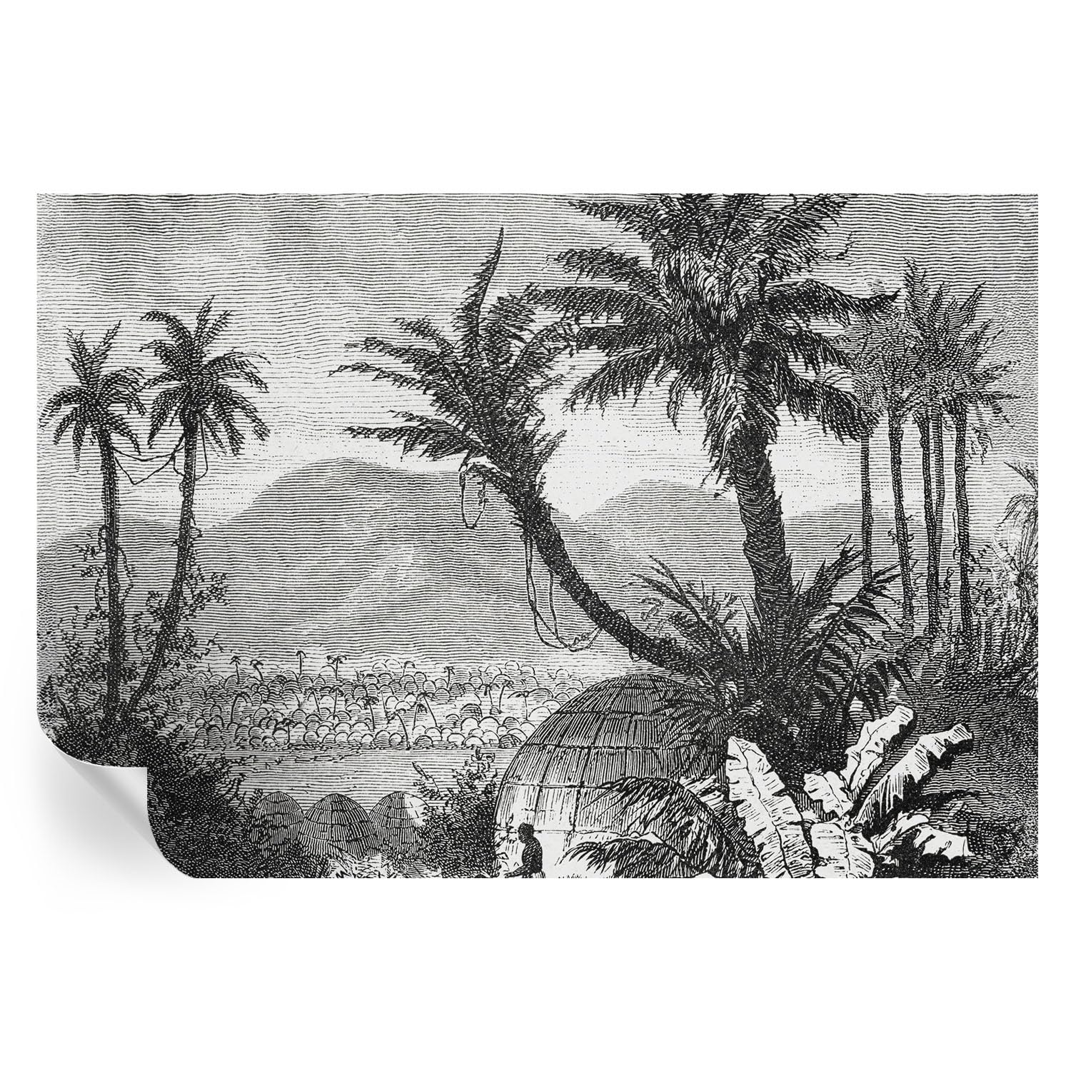 Cubiertas de oasis tropical 152x104 cm y vinilos decorativos de pared