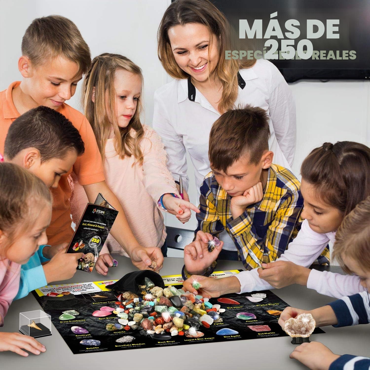 XXTOYS - Kit de Piedras y Minerales Coleccionables - 250 Geodos y Fósiles Naturales - Se Entrega con Escaparate y Estuche - 6 7 8 9 10 Años
