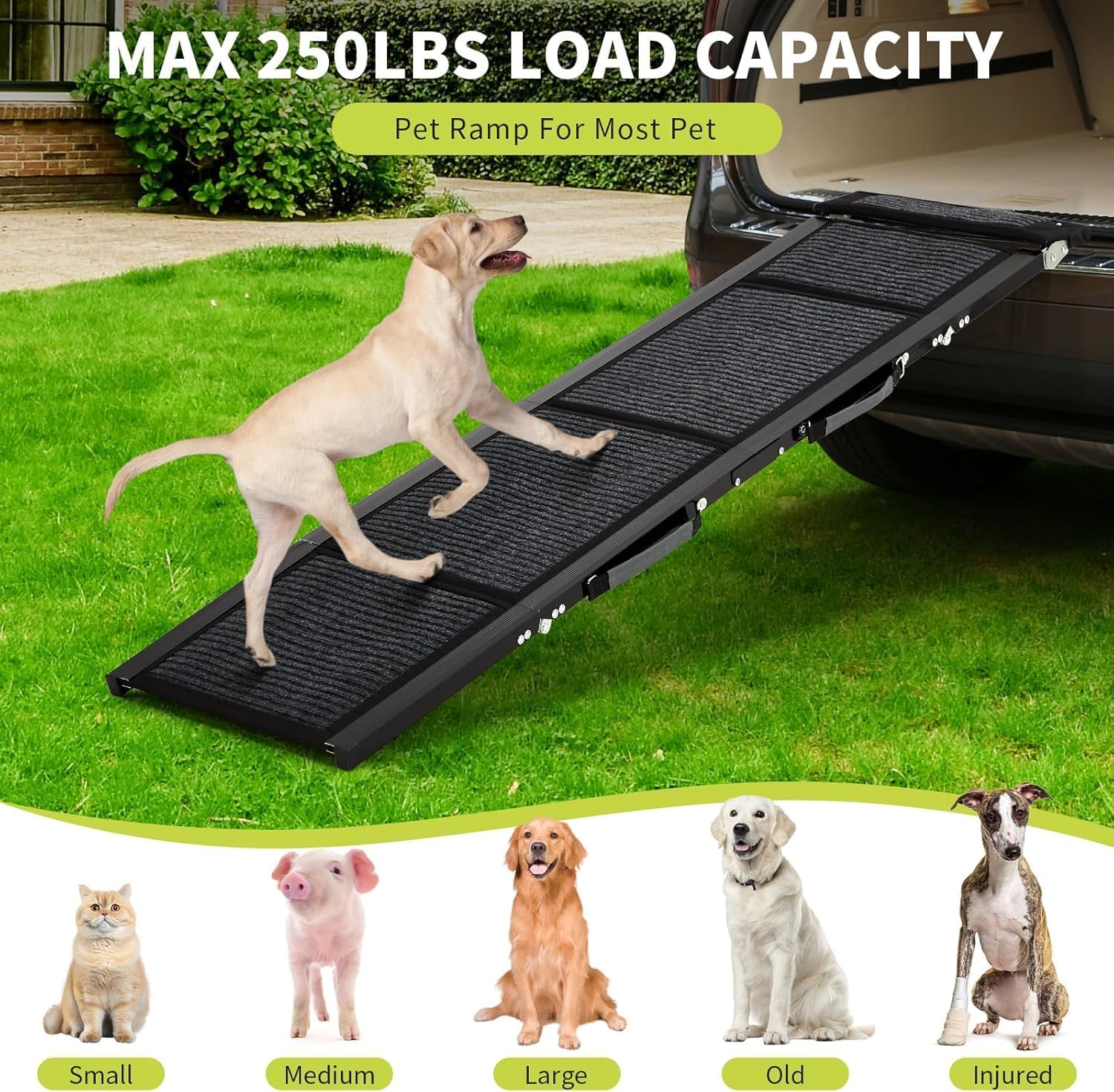 Garvee Rampa para Perros Plegable 180 x 43 cm, Aleación de Aluminio de 1,3 mm y Superficie Antideslizante de Tela No Tejida, Acceso para Coche SUV Camión Sofá y Cama, Portátil
