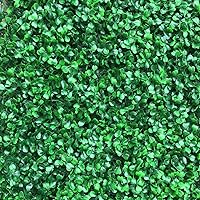 Vista 8 de Paneles de setos artificiales, telón de fondo de pared de vegetación, paneles de plantas de seto topiario, 12 piezas de 23.62 x 15.75 x 1.57