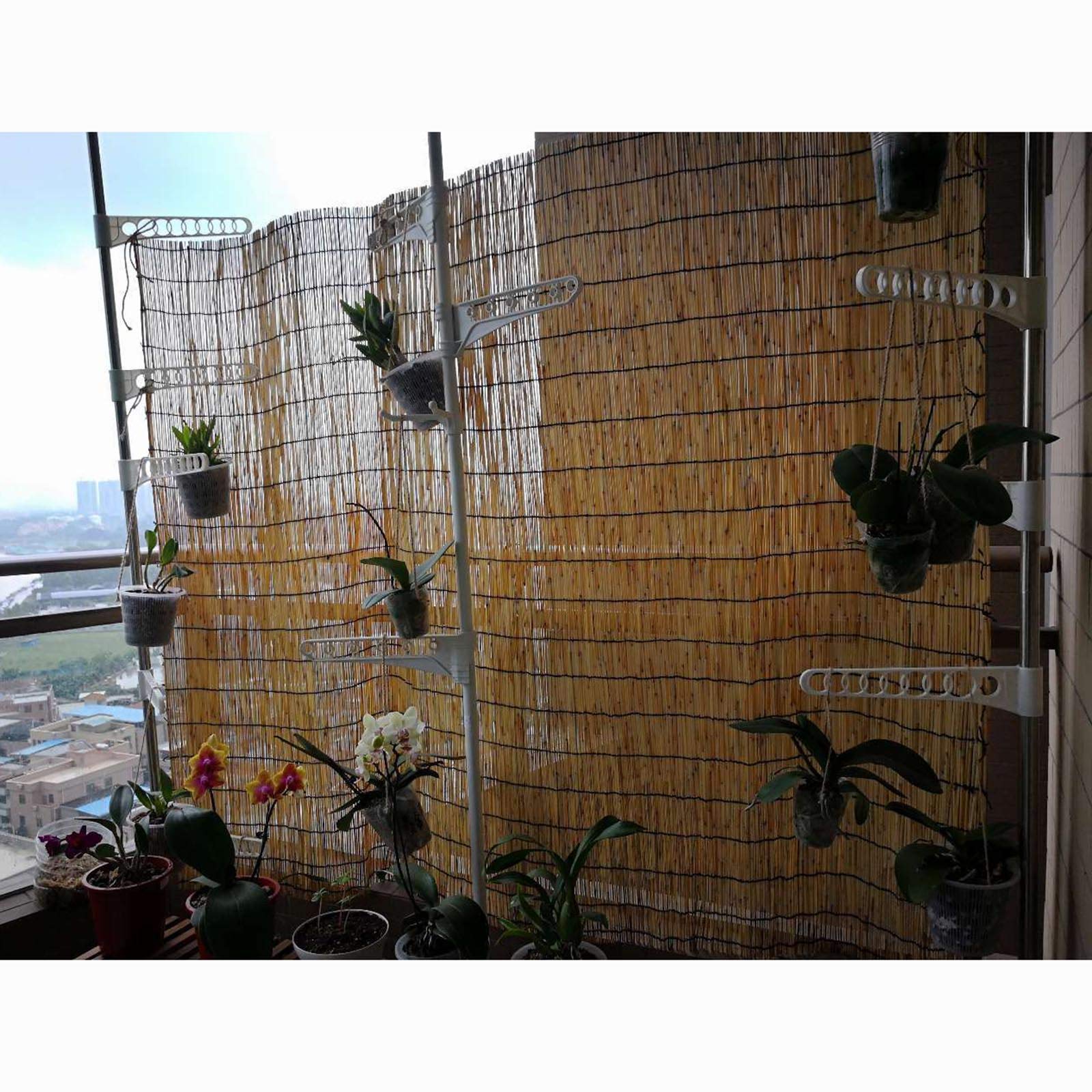Jolan Persiana De Bambú Caña,Persianas Enrollables De Bambú Son Opacas,Cortinas De Paja Sunshade,Estor Enrollable Natural,Varios Tamaños,60 Cm 70 Cm 80 Cm 90 Cm 100 Cm 180 Cm