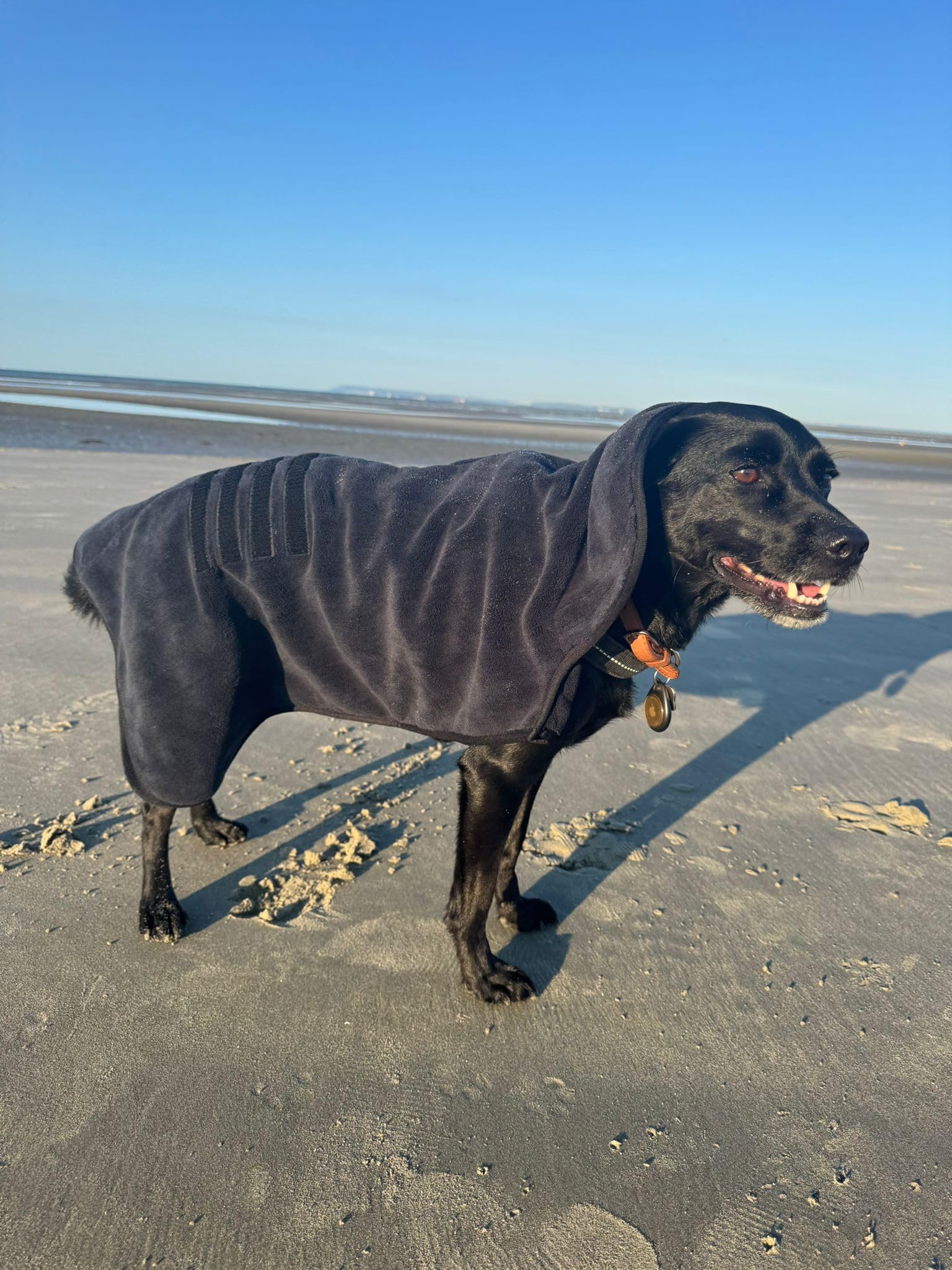 Urban Paws Collective® Luxury Dog Drying Coat, Drying Robe, Ultra Absorbent Microfibre Dog Bathrobe, Quick Dry, Covers Ears - Image 4