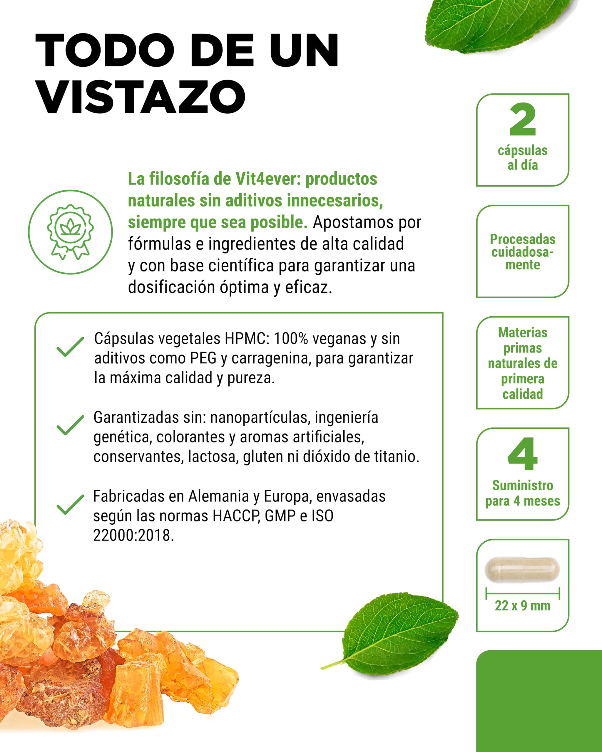 vit4ever Extracto de incienso - 240 cápsulas veganas - 1000 mg por ración diaria - Con 85% de ácidos boswélicos de auténtica Boswellia serrata india - Alta dosis