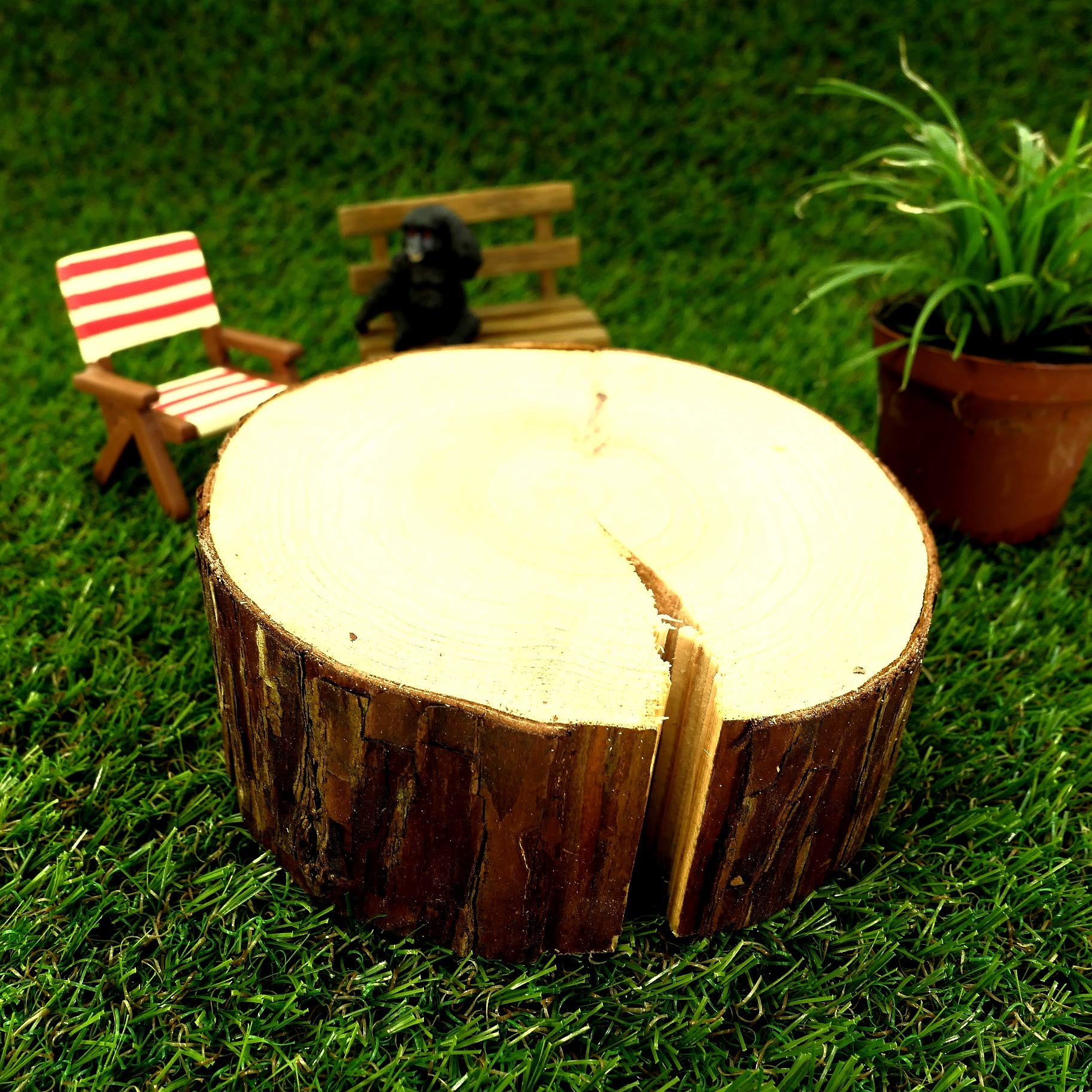 Amazon.co.jp: 天然木の台座 ディスプレイスタンド スギの木 切り株 約