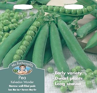 Mr Fothergills - Pictorial Packet - Vegetable - Pea Kelvedon Wonder - 400 Seeds