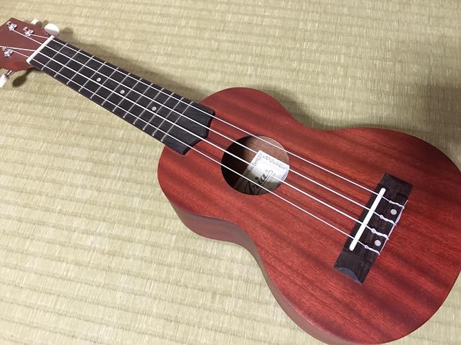 Amazon.co.jp: ARIA アリア ソプラノウクレレ マホガニー材 バック付