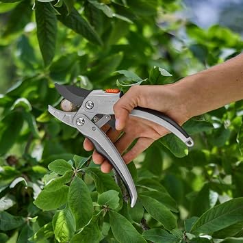Gardena SmartCut Ratchet Secateurs: Sturdy Secateurs with Anvil Cutting Edge for Thicker and Dry Wood up to 25 mm Diameter Two Handle Positions with Ratchet Mechanism and Aluminium Handles (8798-20)