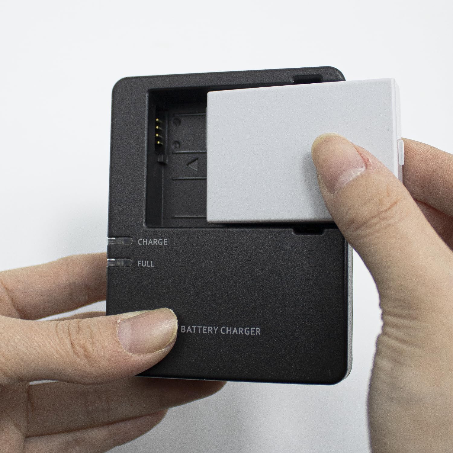 LP-E8 1900mAh Battery Pack and LC-E8 LC-E8E Battery Charger Compatible with EOS 550D, EOS 600D, EOS 650D, EOS 700D, Rebel T2i T3i T4i T5i, EOS Kiss X4 X5 X6 Camera