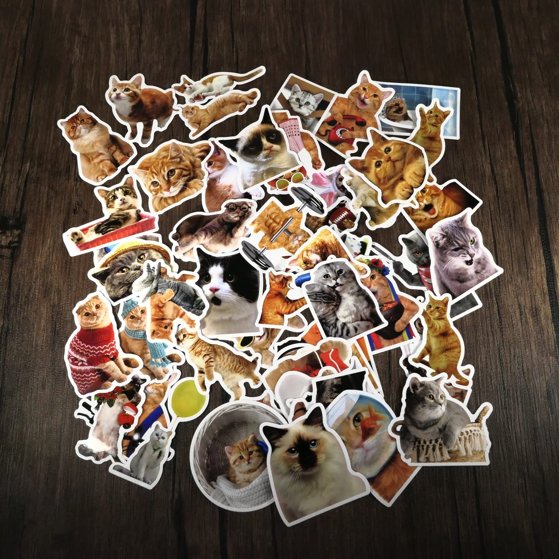 Amazon | フレークシール 猫 約200枚セット 福袋 てんこ盛り