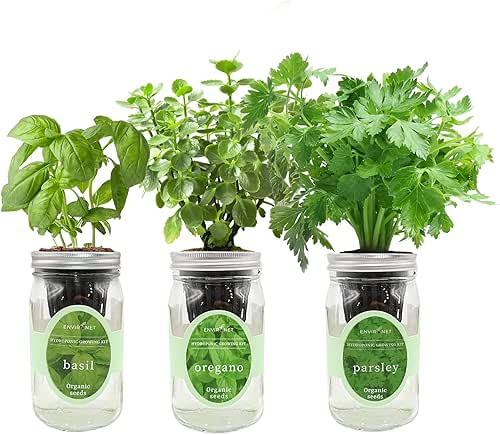 Hydroponic Herb Growing Kit Set, Self-Watering Mason Jar Herb Garden