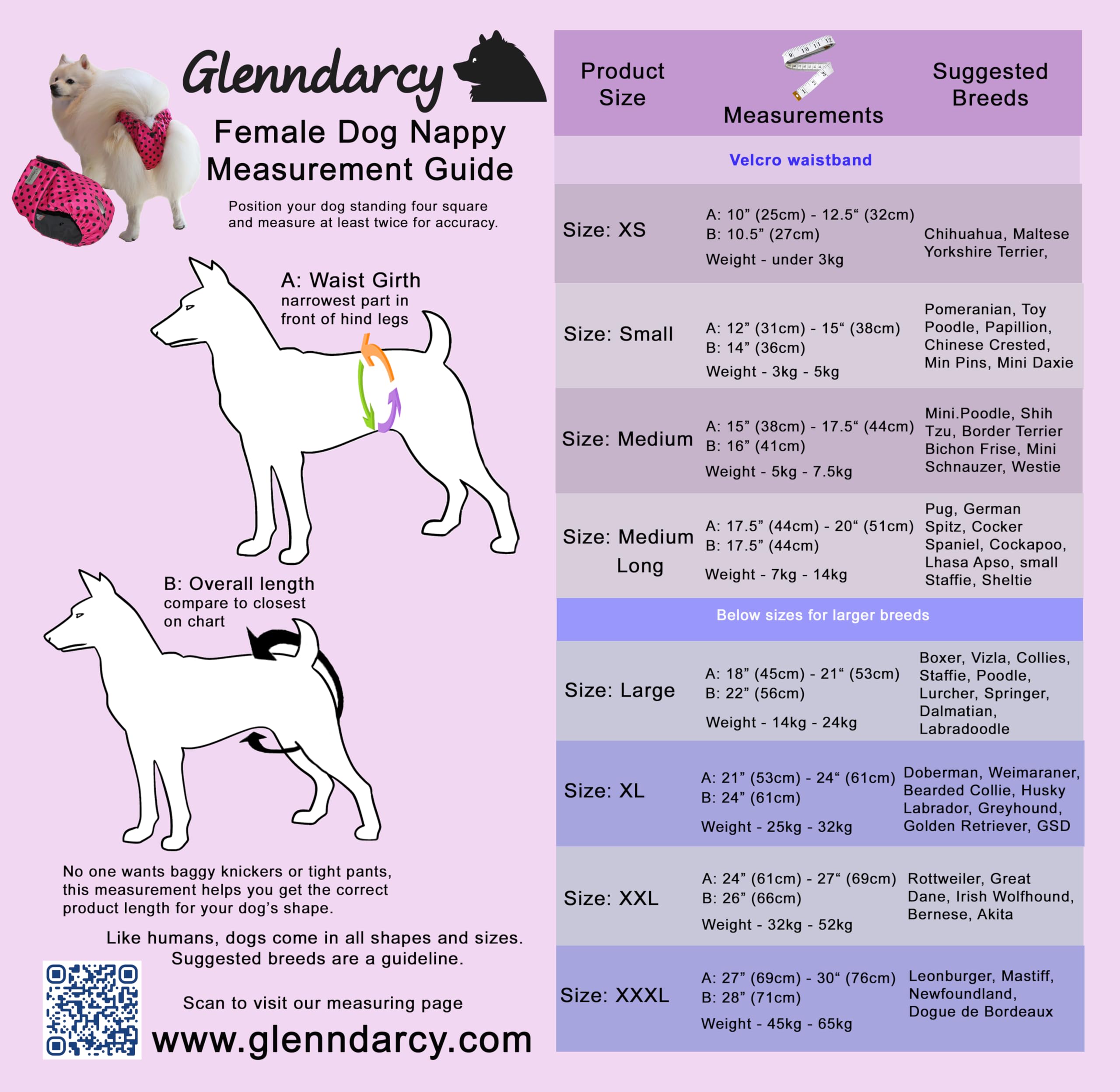 Glenndarcy Female Dog Season Nappy - Waterproof Fabric (Size Large Pants & 2 Washable Pads, Busy Bee) in use
