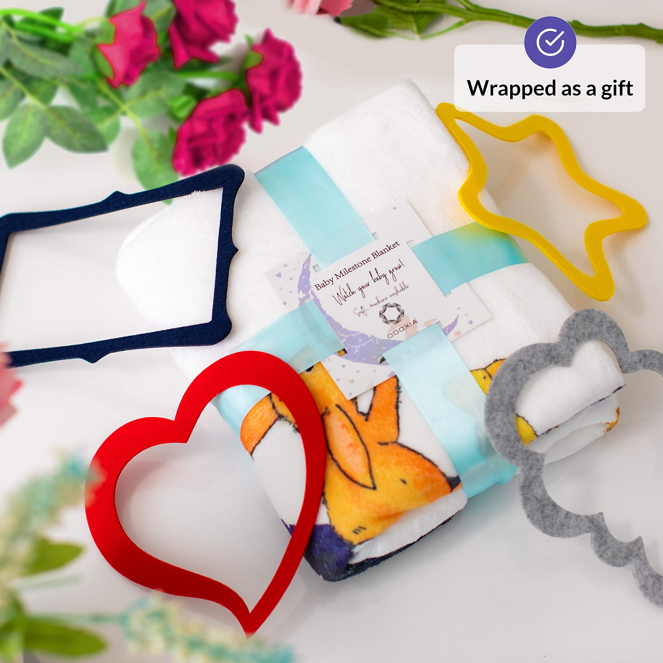 ODOXIA Coperta Mesi Neonato Maschio O Femmina, Unisex | Coperta Mesi Bambino Con Immagini | Regalo Personalizzato Per Neomamme | Traccia La Crescita E L’età | Morbida, Spessa, Grande
