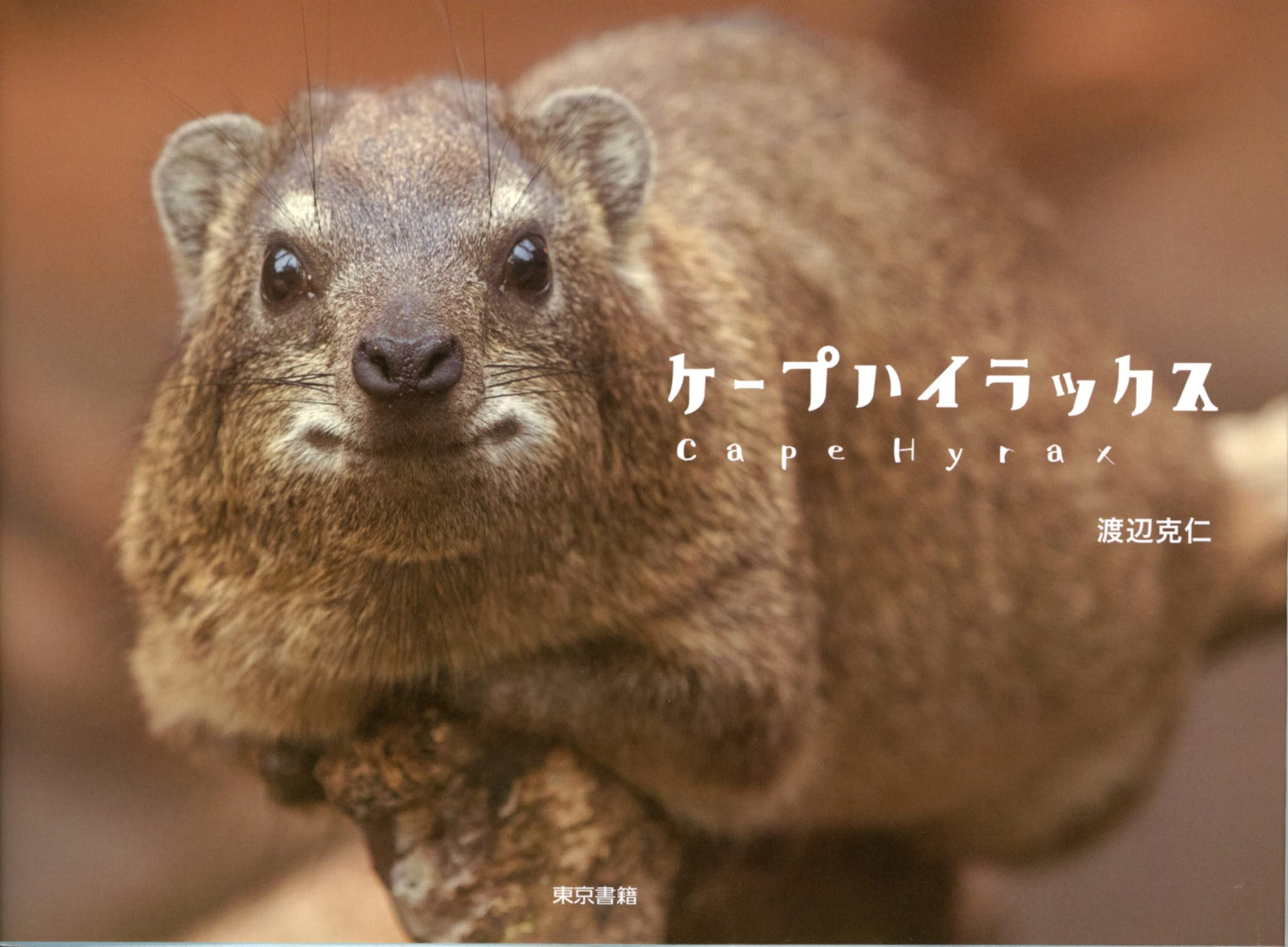 ケープハイラックス 渡辺 克仁 渡辺 克仁 本 通販 Amazon