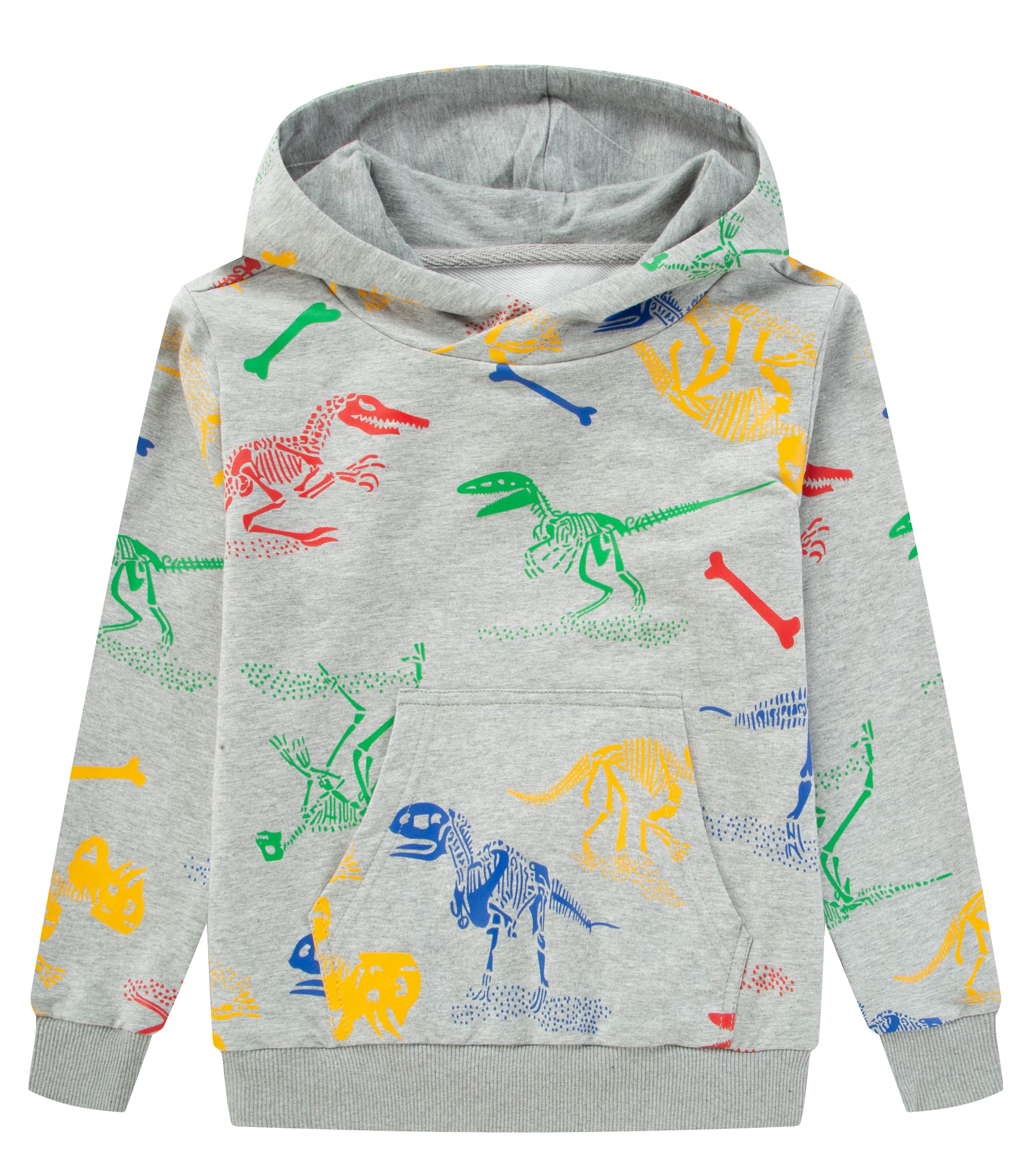 TLAENSON Kids Dinosaur Hoodies for Boys Girls Pullover Hooded Toddler Sweatshirt