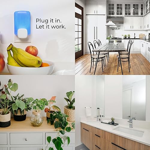 Miniatura 4 de Wondercide - Kit de inicio de trampa de insectos voladores - Atrapa insectos de interior para moscas de la fruta, mosquitos, polillas y mosquitos -