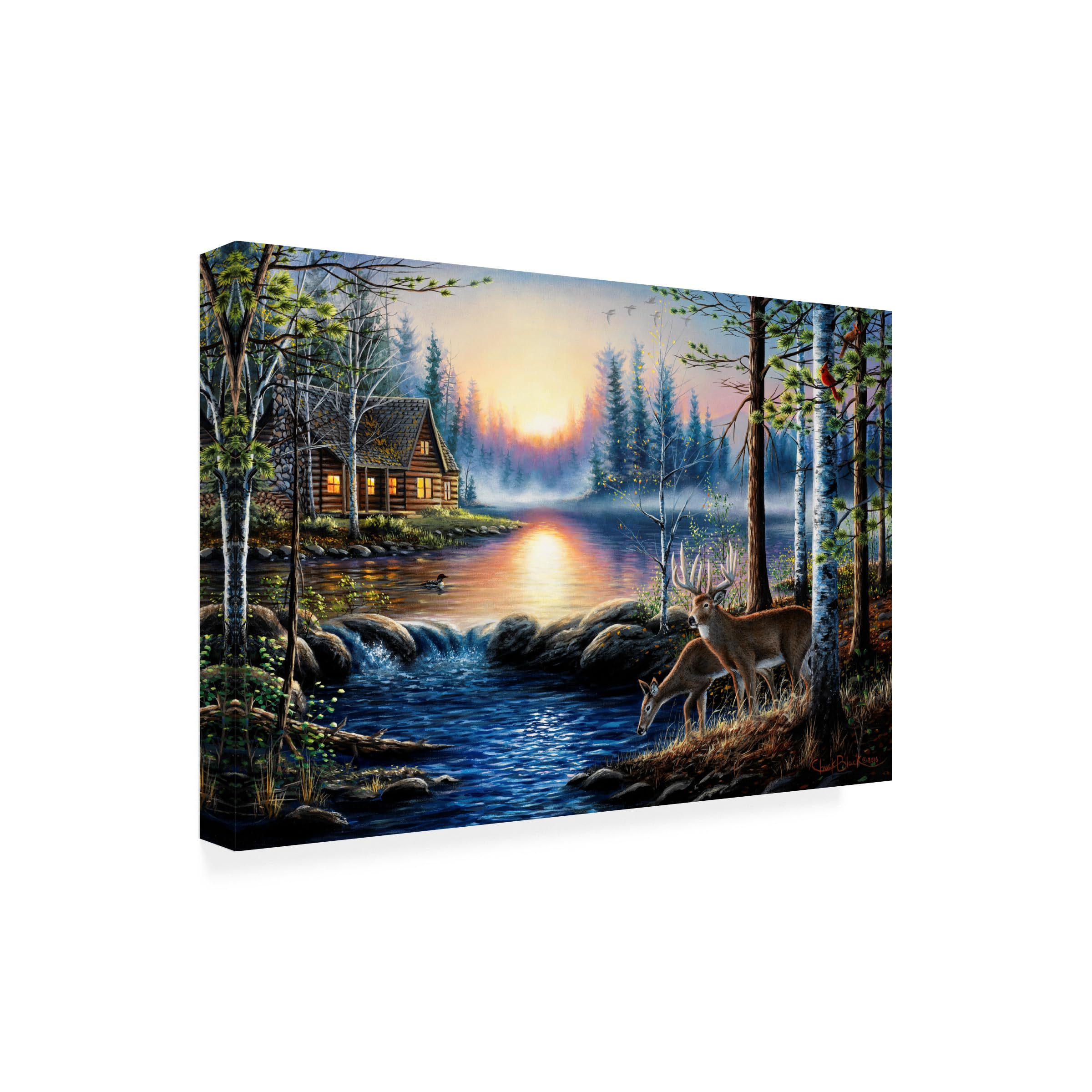 Wrapped Canvas Wall Art - Chuck Black Total Bliss Wall Art for Living Room Bedroom or Office D