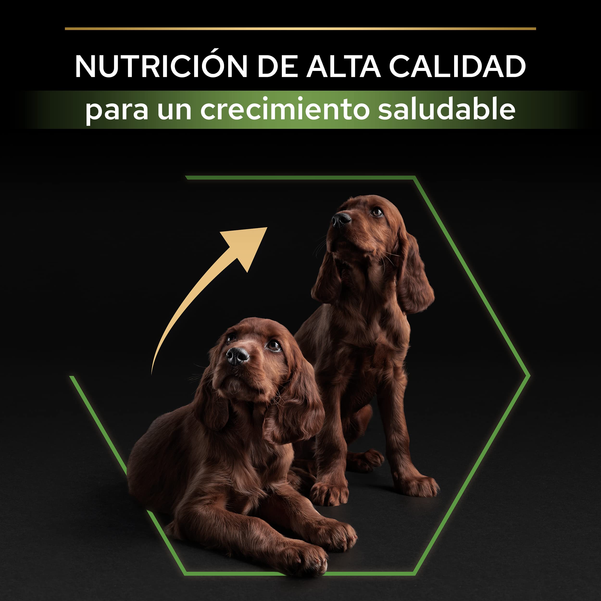 Purina Pro Plan Optistart Large Athletic Puppy Crocchette Cane 12 kg
