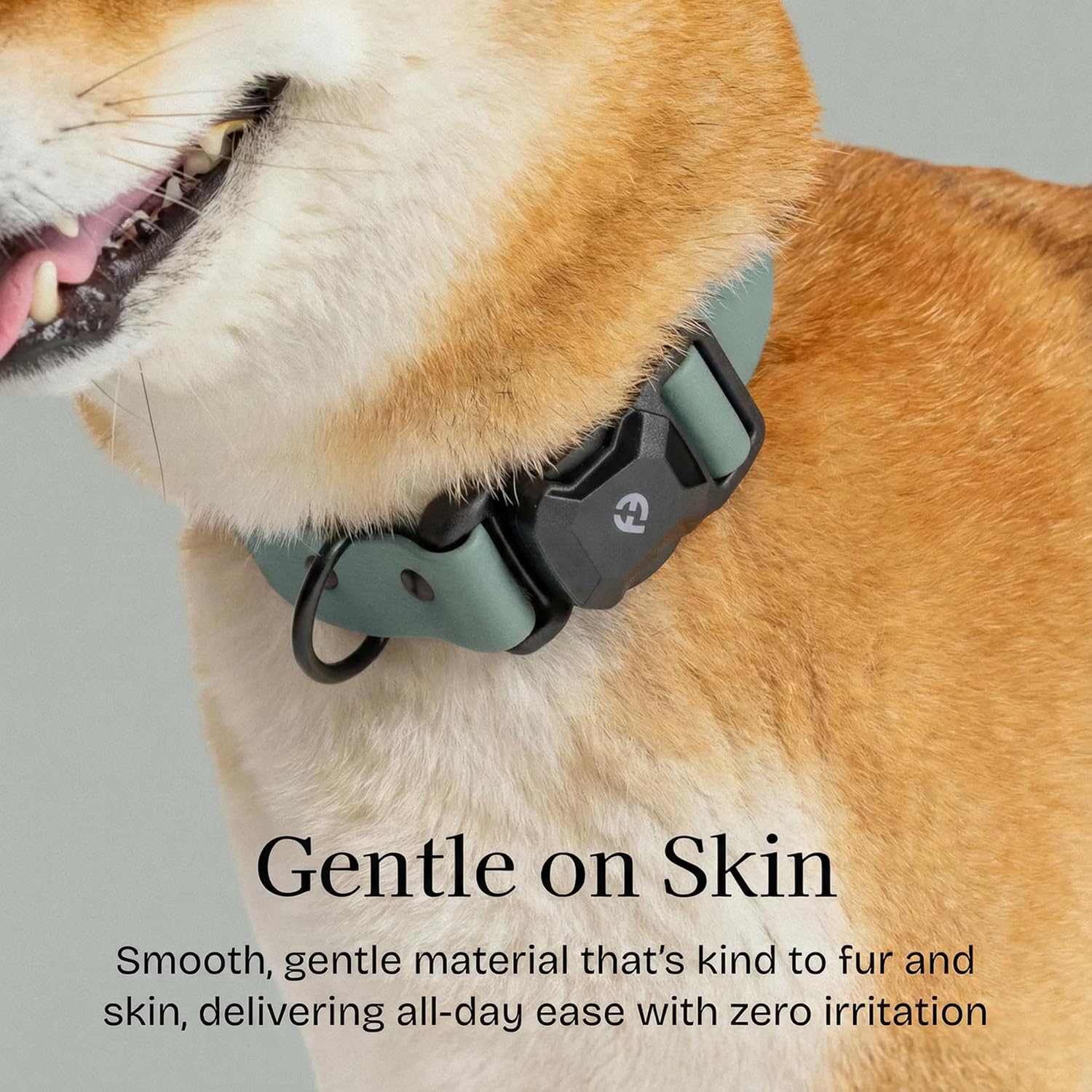 Fei & Eve VERO Series – MagEase Dog Collar, Patented Magnetic Buckles, 450LB Escape-Proof, PVC Waterproof, Fur-Safe, Odor Resistant & Wipes Clean, Adjustable Fit, Glacier Green Large