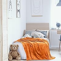 Vista 299 de Utopia Bedding - Manta de vellón de lujo, mullida, antiestática; manta de suave microfibra de 8.8 oz/yd² (300 g/m²) para cama; tamaño individual