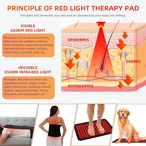 Miniatura 3 de Terapia de luz roja Terapia de luz infrarroja Almohadilla de envoltura grande 360LEDs para alivio del dolor corporal para alivio del dolor de todo