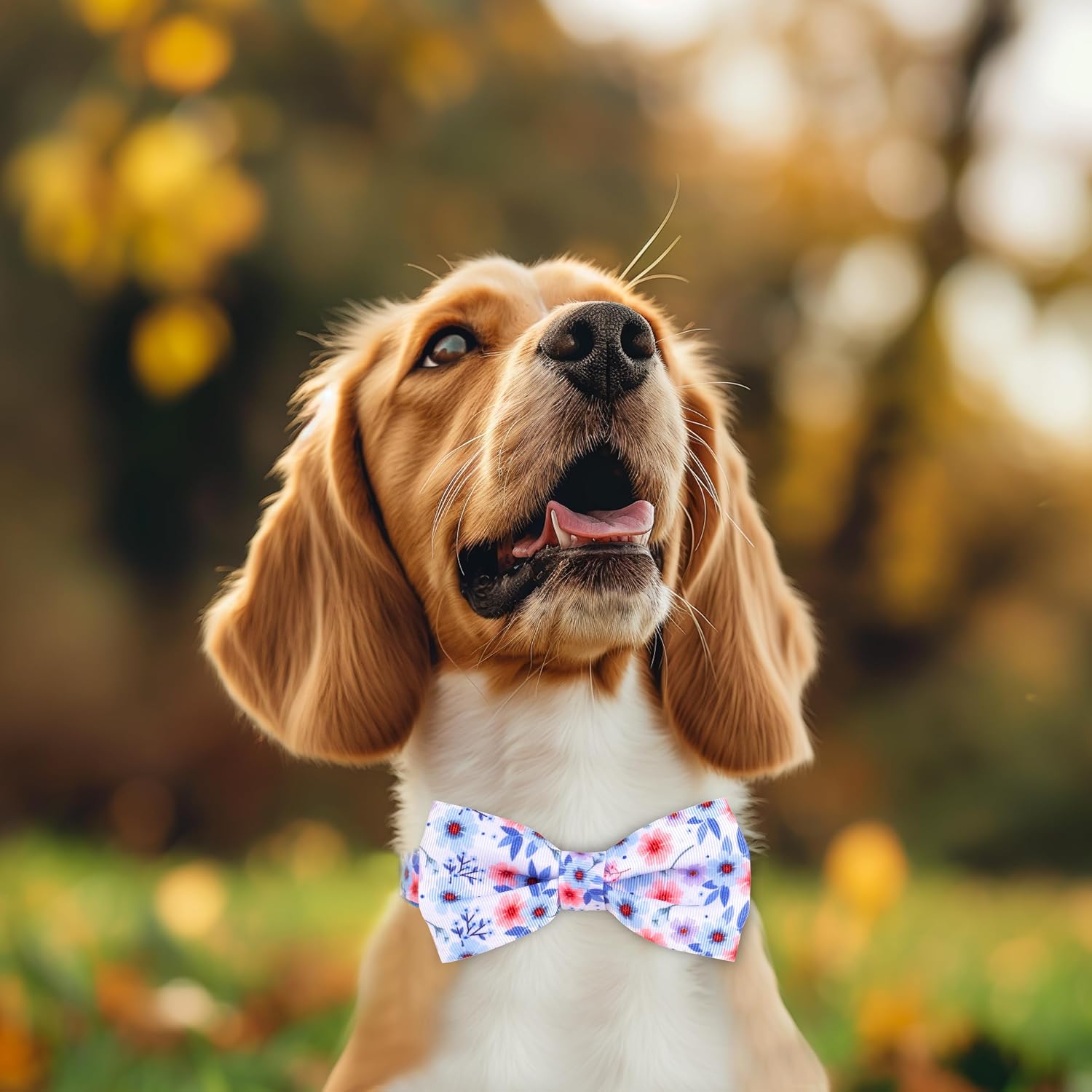 azuza Dog Collar with Bow Tie, Soft and Comfortable Adjustable Bowtie Dog Collar for Medium Dogs (M, Gerbera) image 5