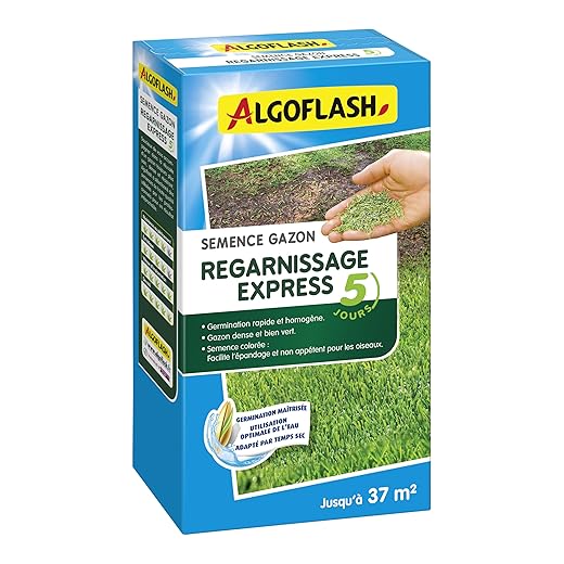 Algoflash 5 Day Express Refilling Grass Seed - 800 g, Green