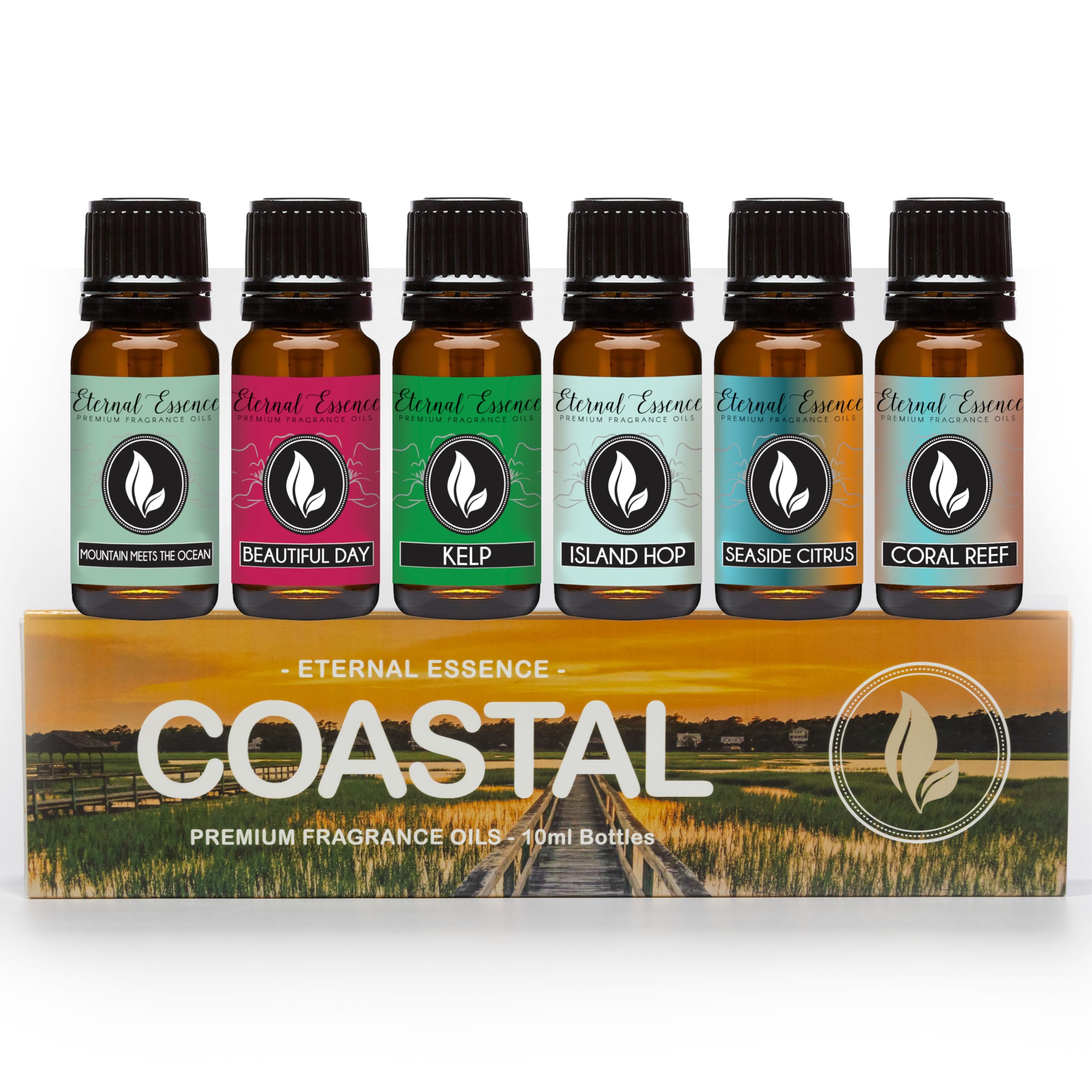 Eternal Essence Oils Coastal Set of 6 Premium Fragrance Oils - Includes Mountain Meets Ocean, Seaside Citrus, Island Hop, Kelp, Beautiful Day, and Coral Reef Scented Oils - 10ML