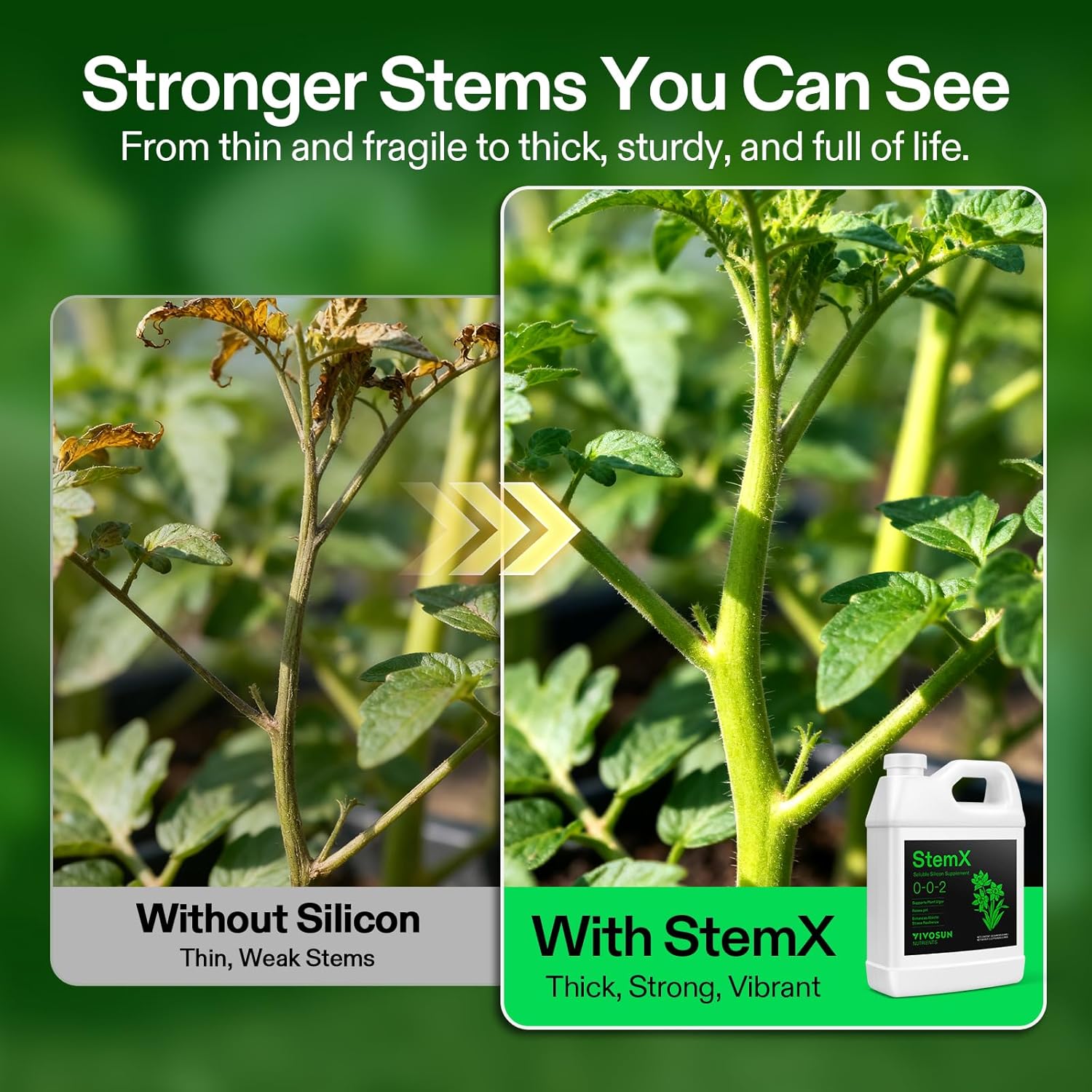 VIVOSUN StemX (0-0-2) Silica for Plants, Soluble Liquid Silicon, Plant Supplement Fertilizer, Nutrient Solution for Strong Stems and Healthy Leaves, Boost Resilience, pH Balance, 32 oz - Image 4