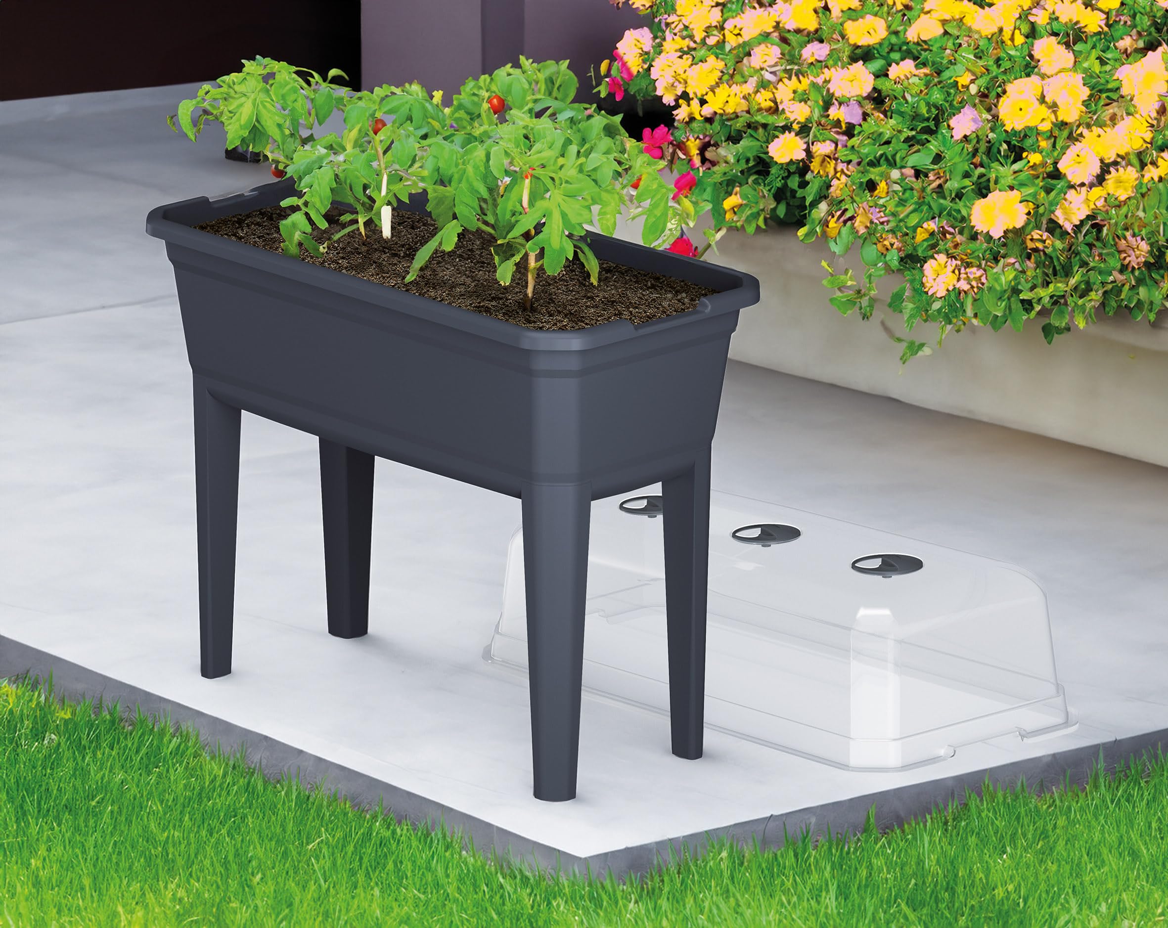Jardinière surélevée en plastique avec couvercle à effet de serre - 78 x 75 cm - Serre de culture sur pieds - Aide à la culture - Jardinière avec couvercle de protection