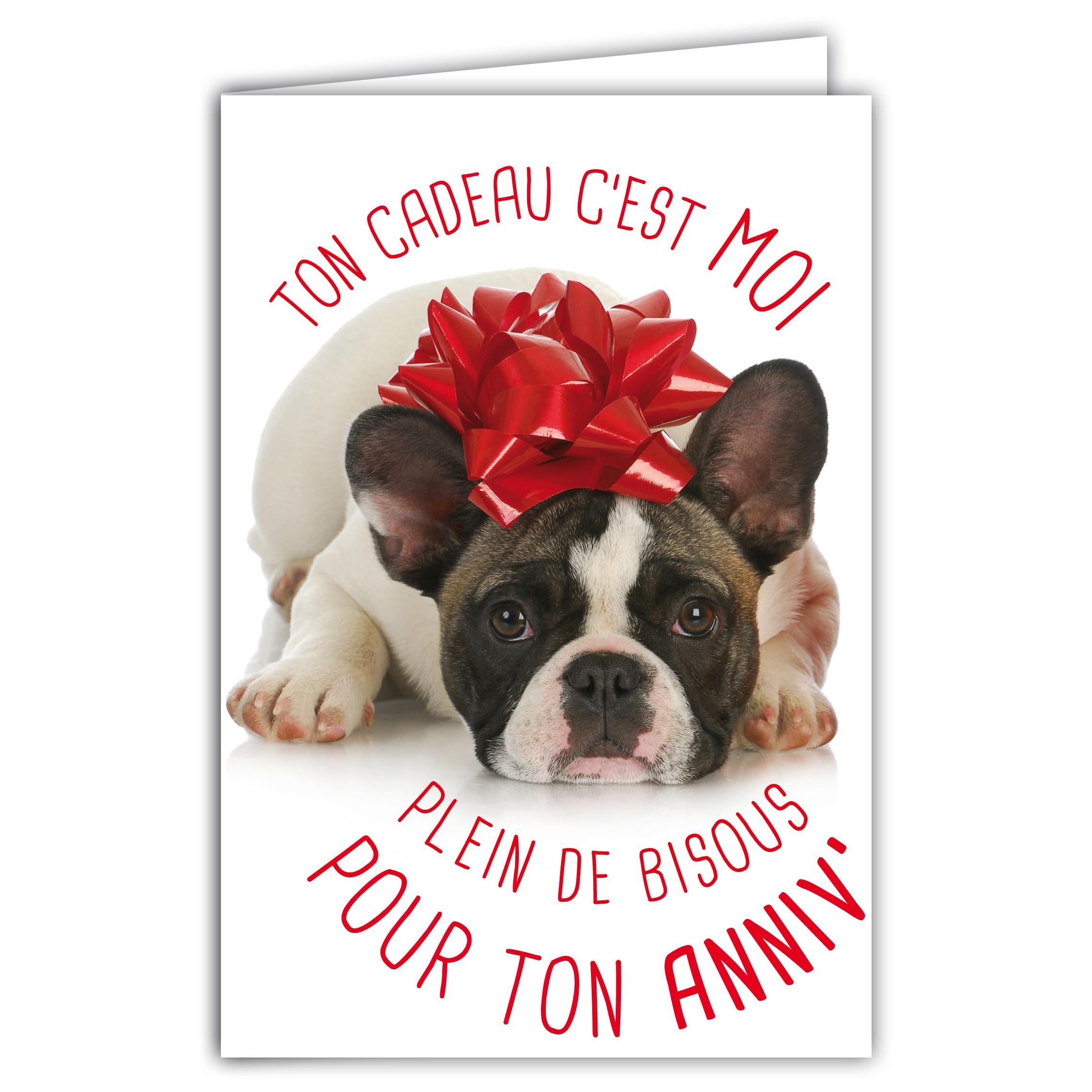 Humorous Happy Birthday Card with Illustrated Envelope, 17.5 x 12 cm, Funny Funny Funny Dog Disguised as a Gift with a Ribbon Bow on the Head – Creation Made in France 69-6204