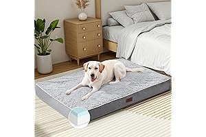 Extra-Large Memory Foam Dog Bed for the Ultimate Comfort of Large Dogs