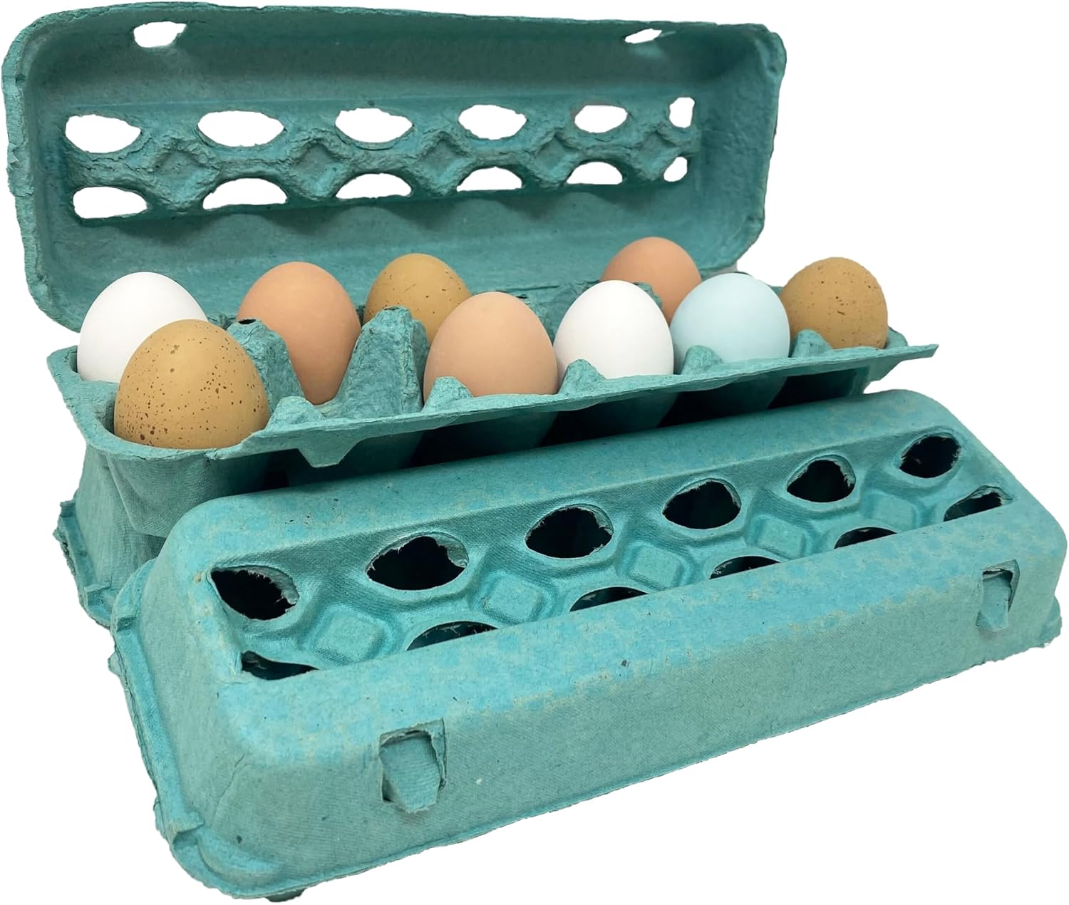Teal Paper Pulp Egg Cartons - 50 Pack