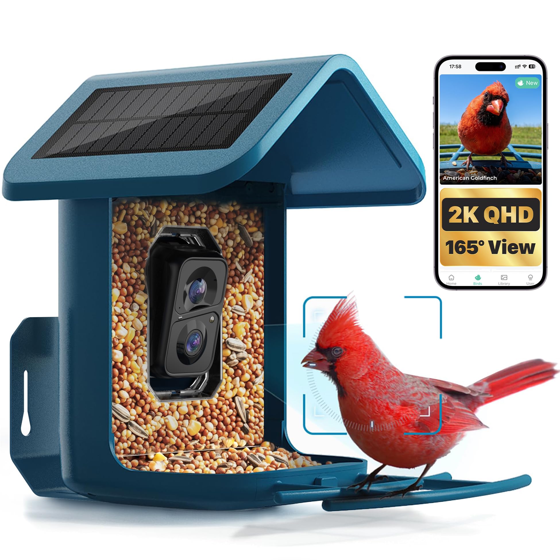 Smart Bird Feeder with Camera Solar Powered, 2K Live Stream for Backyard Blue