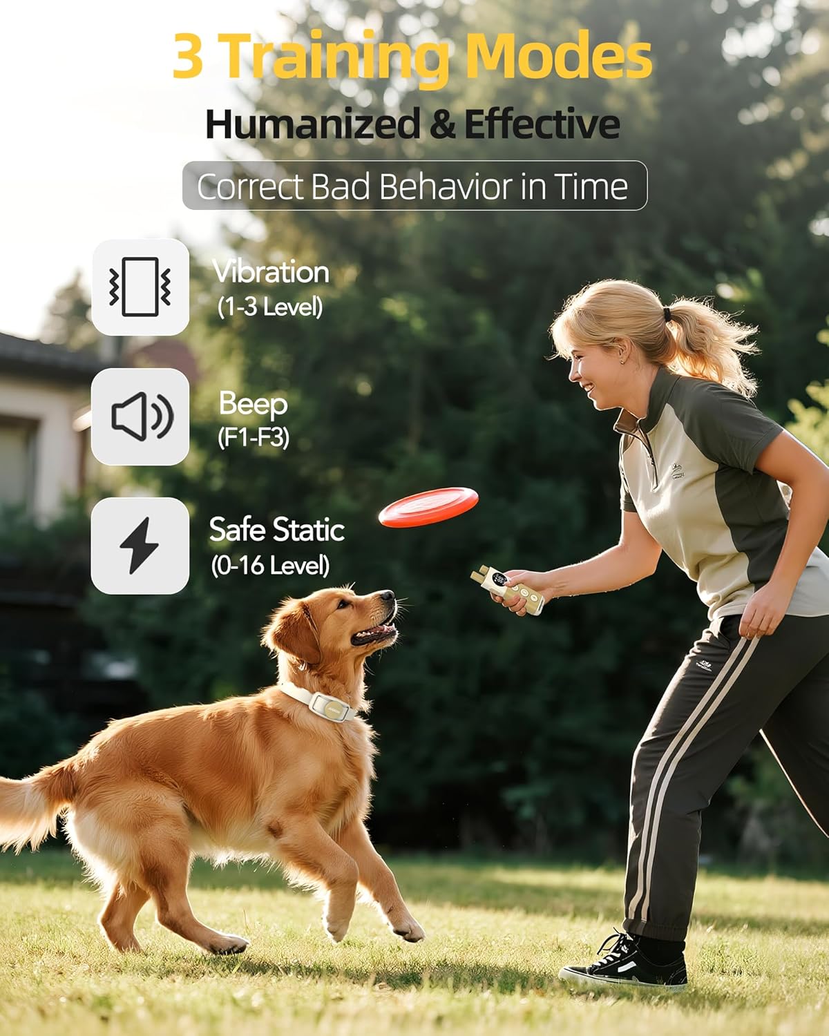 Ultimate Review: Jugbow Shock Collar - Empower Your Dog Training!