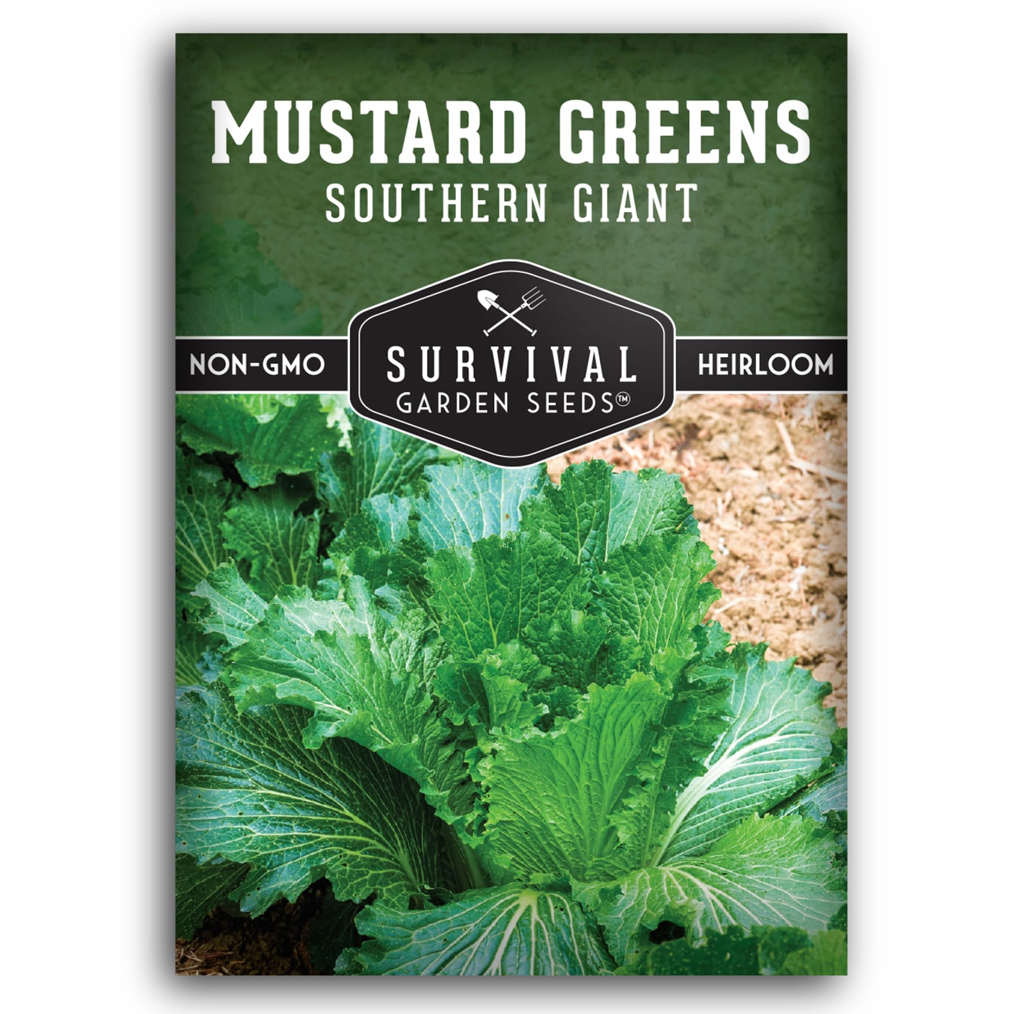 Southern Giant Mustard Green Seeds for Planting – Heirloom Non-GMO Spicy Greens, Heat Tolerant and Slow to Bolt for Home Vegetable Gardens - Survival Garden Seeds (1 Pack)