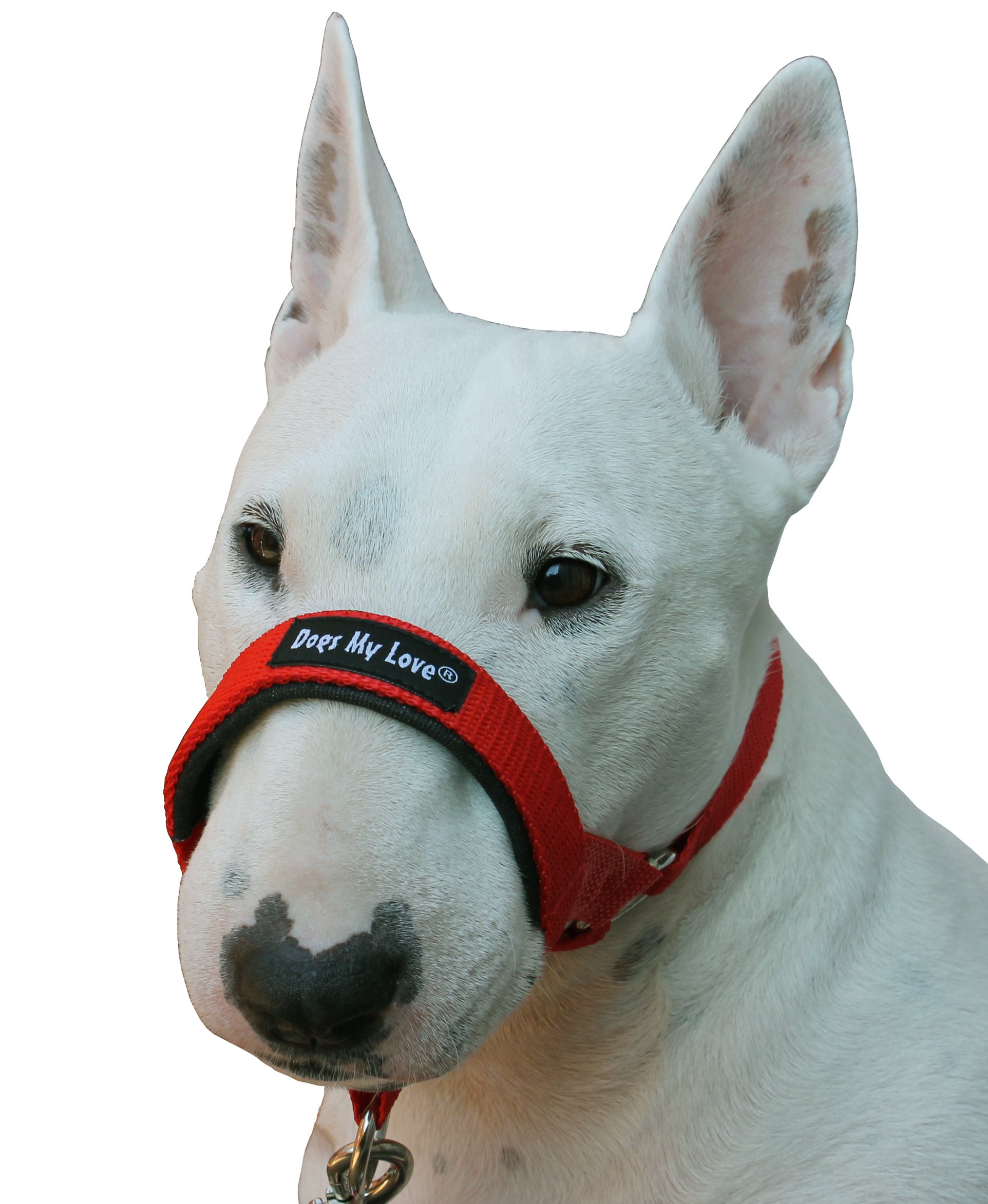 Amazon.co.jp: 犬の頭の首輪 ホルター レッド 6サイズ (XL: 12.25