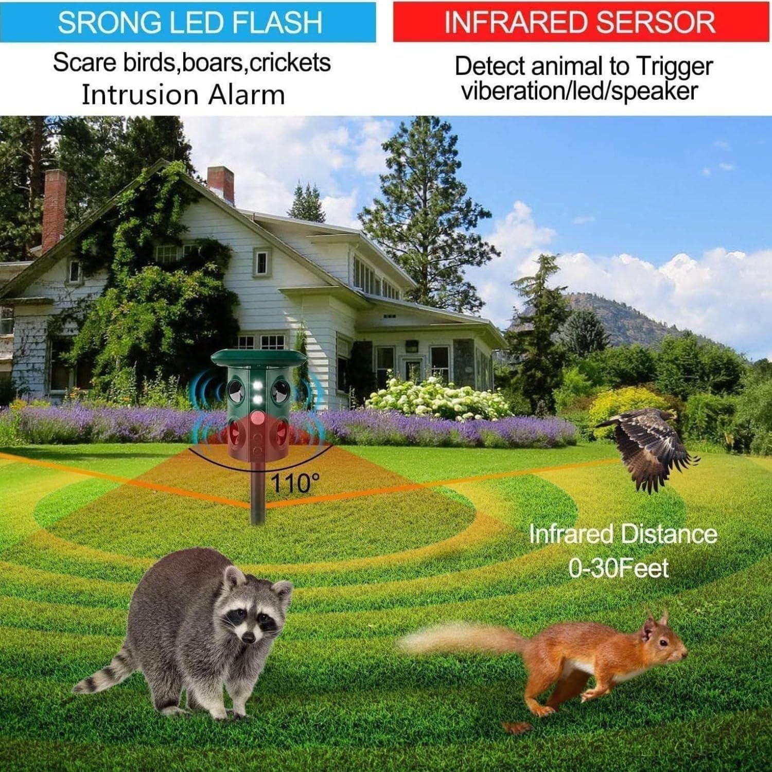 Répulsif Chat Extérieur Ultrason Solaire répulsif pour Chats de Jardin