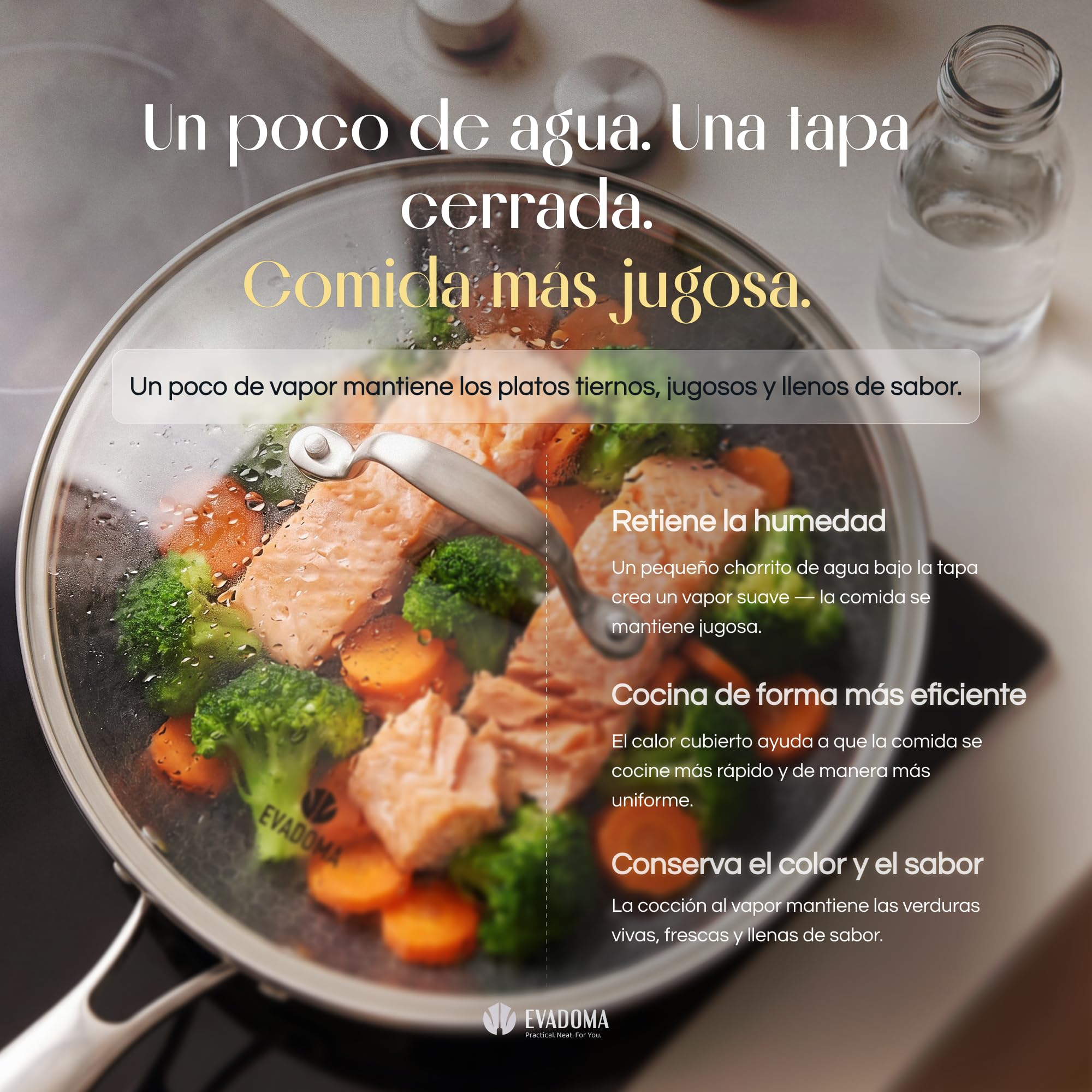 Sartén Antiadherente 24 cm con Tapa de Cristal | para Tortilla de Patatas, Huevos y Crepes | Apta para Todas las Cocinas y Horno | Acero Inoxidable Panal de Abeja | Sin PFOA