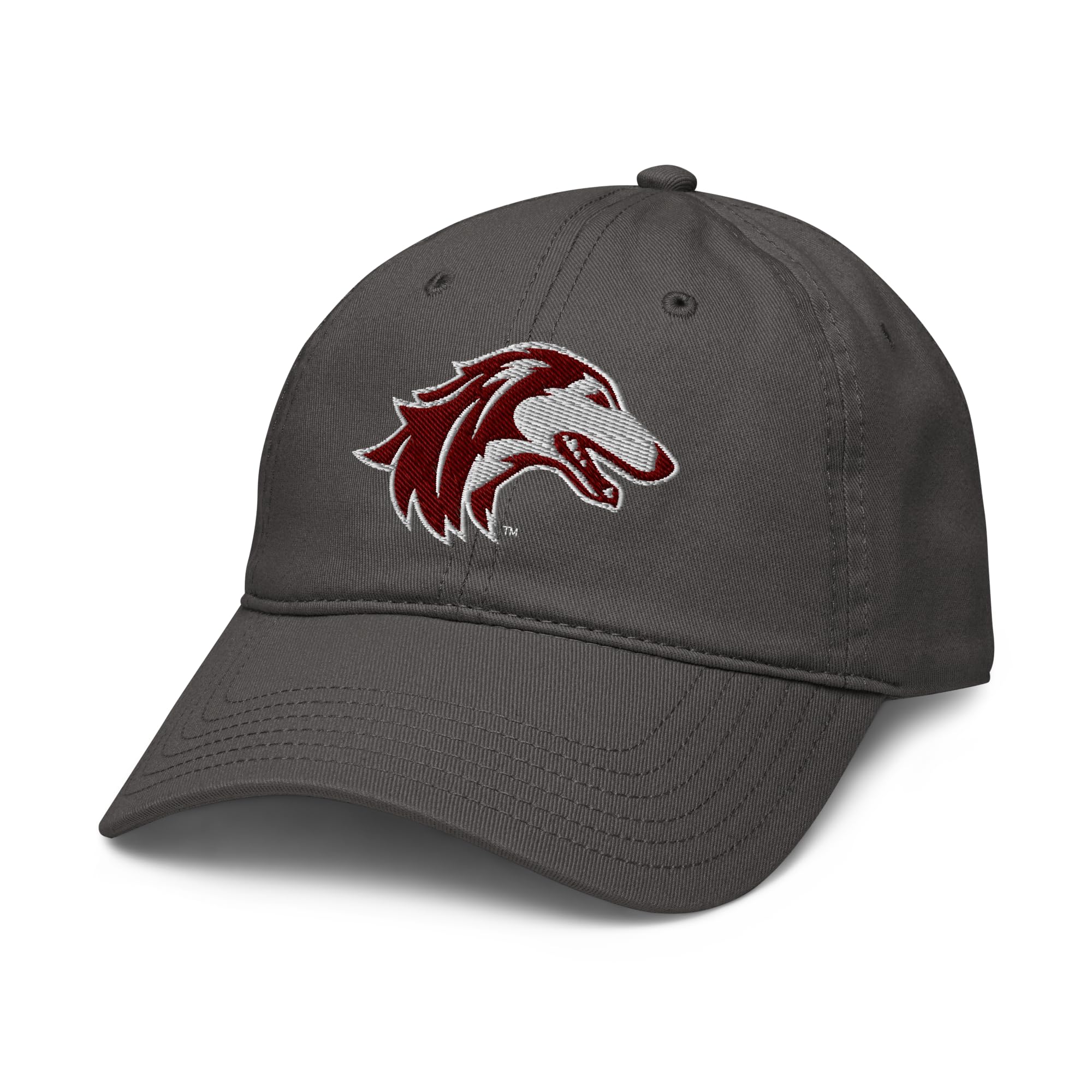 Southern Illinois Salukis Icon Officially Licensed Adjustable Baseball Hat