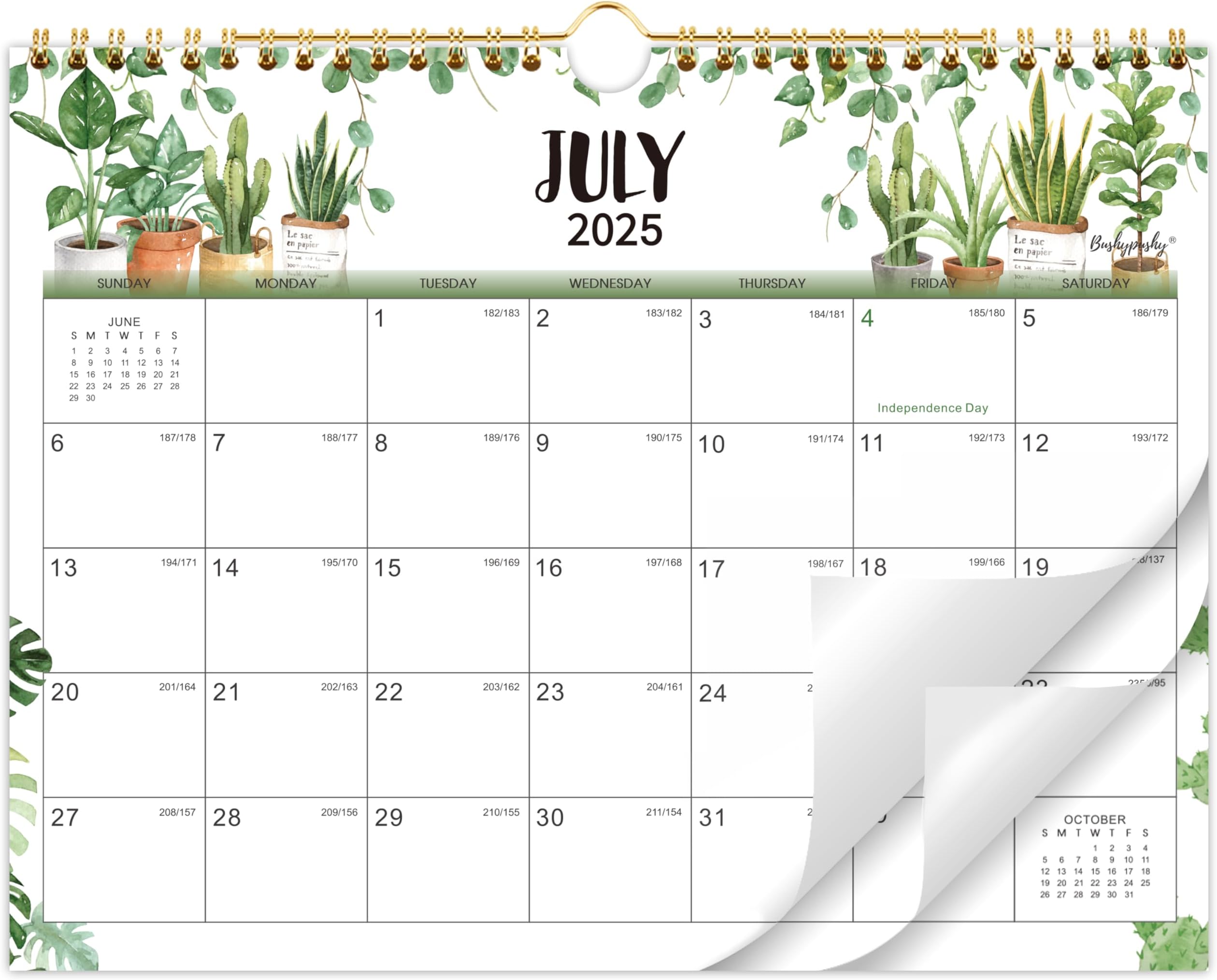 20252026 Wall Calendar Jul 2025 Dec 2026, 20252026