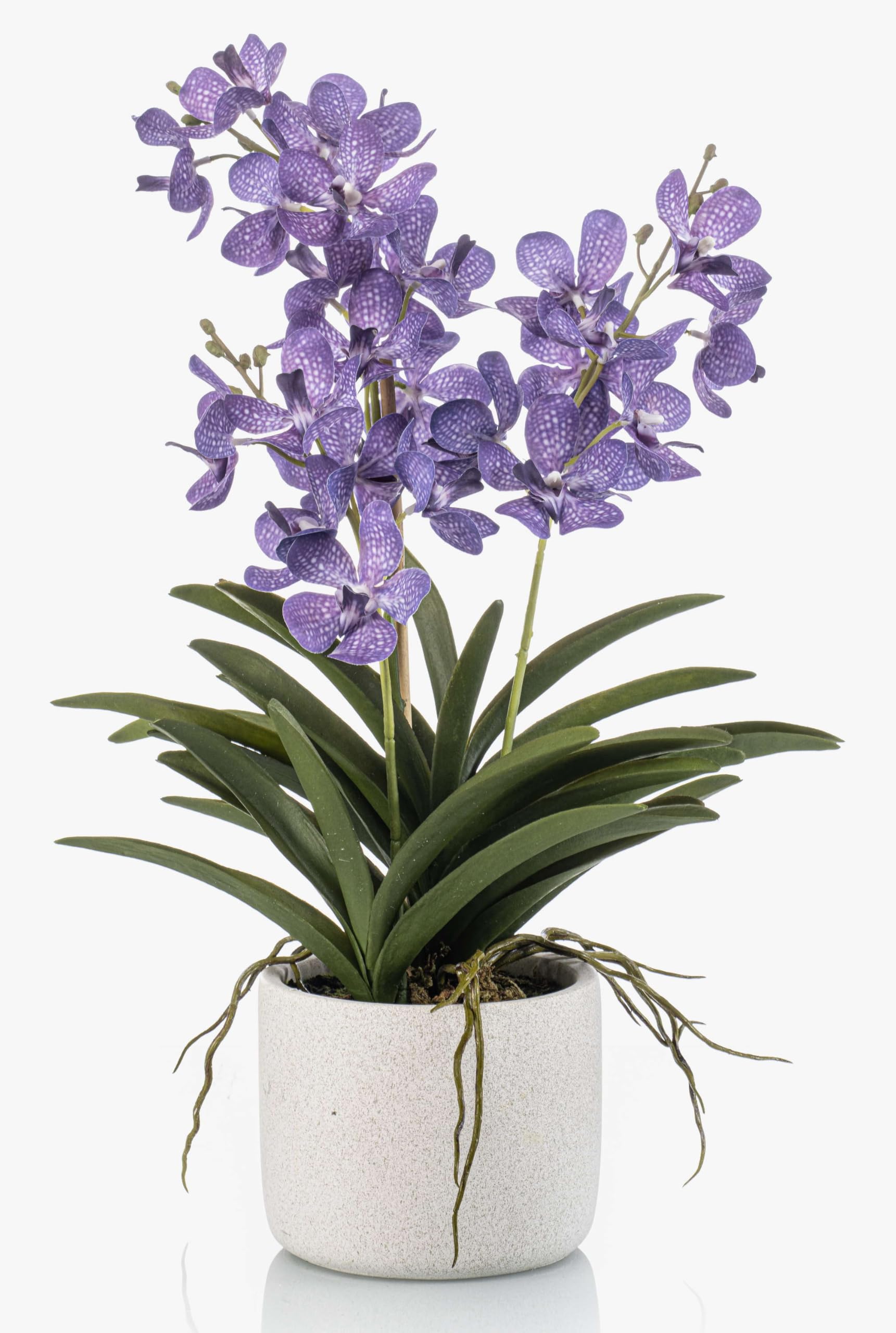 artplants.de Deko Vanda Orchidee PAVRA im Keramiktopf, violett-weiß, 60cm