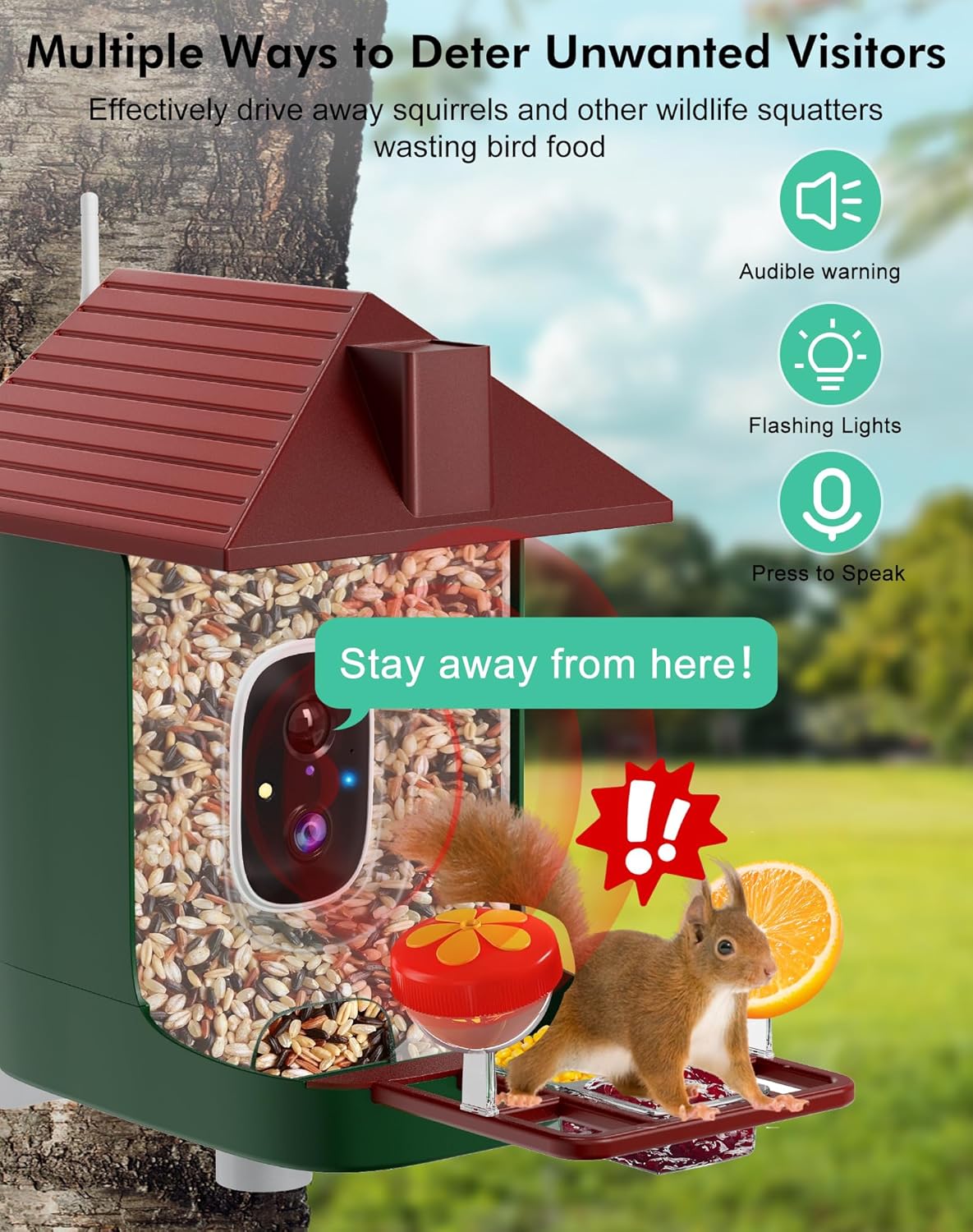 Smart Bird Feeder with Camera,5200mAh Battery with Solar Panel, 4K Native Resolution Live View, AI Species Identification, Auto Capture & Instant Arrival Alert, Ideal Gift for Bird Lovers (Red Green) - Image 6