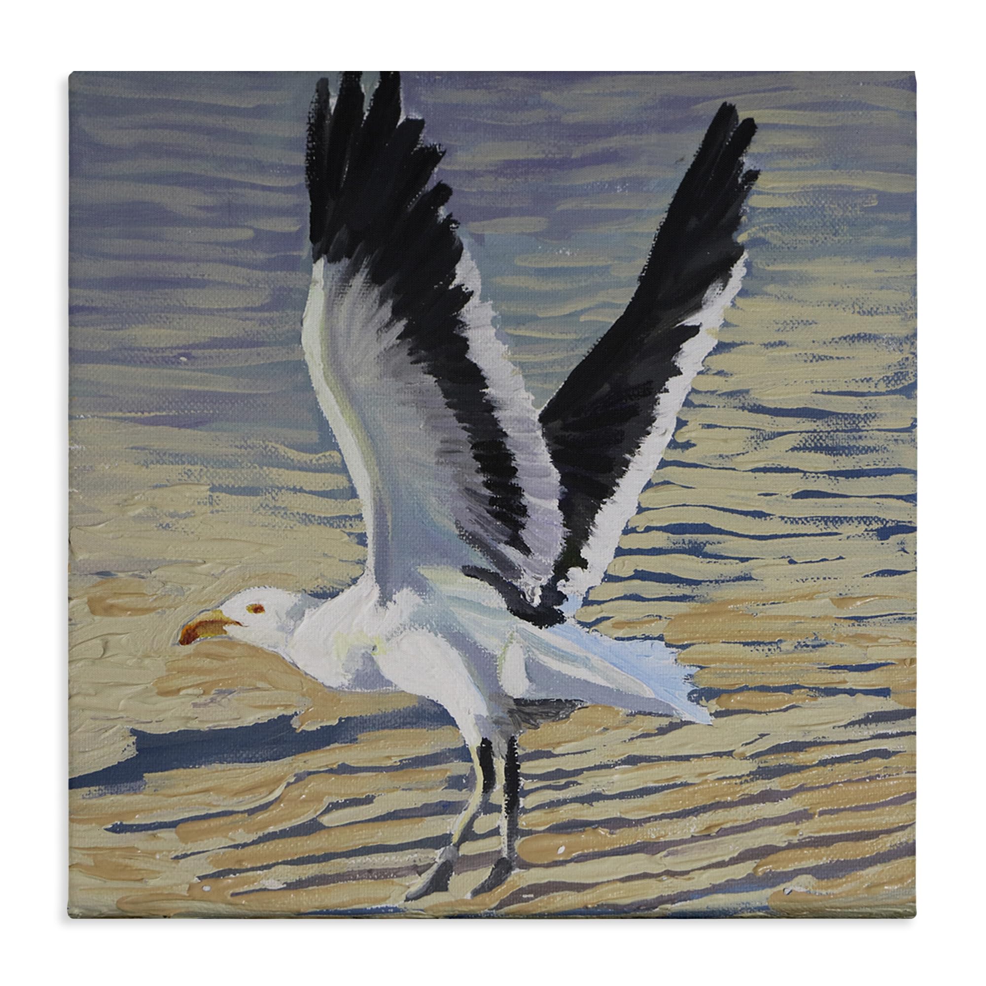 Stupell Industries Seagull Taking Flight Painting 'Seagull Taking Flight', Canvas Art, 24 X 24 Inches, Easy To Hang And Sturdy, Made In Usa, By Violeta Vollmer