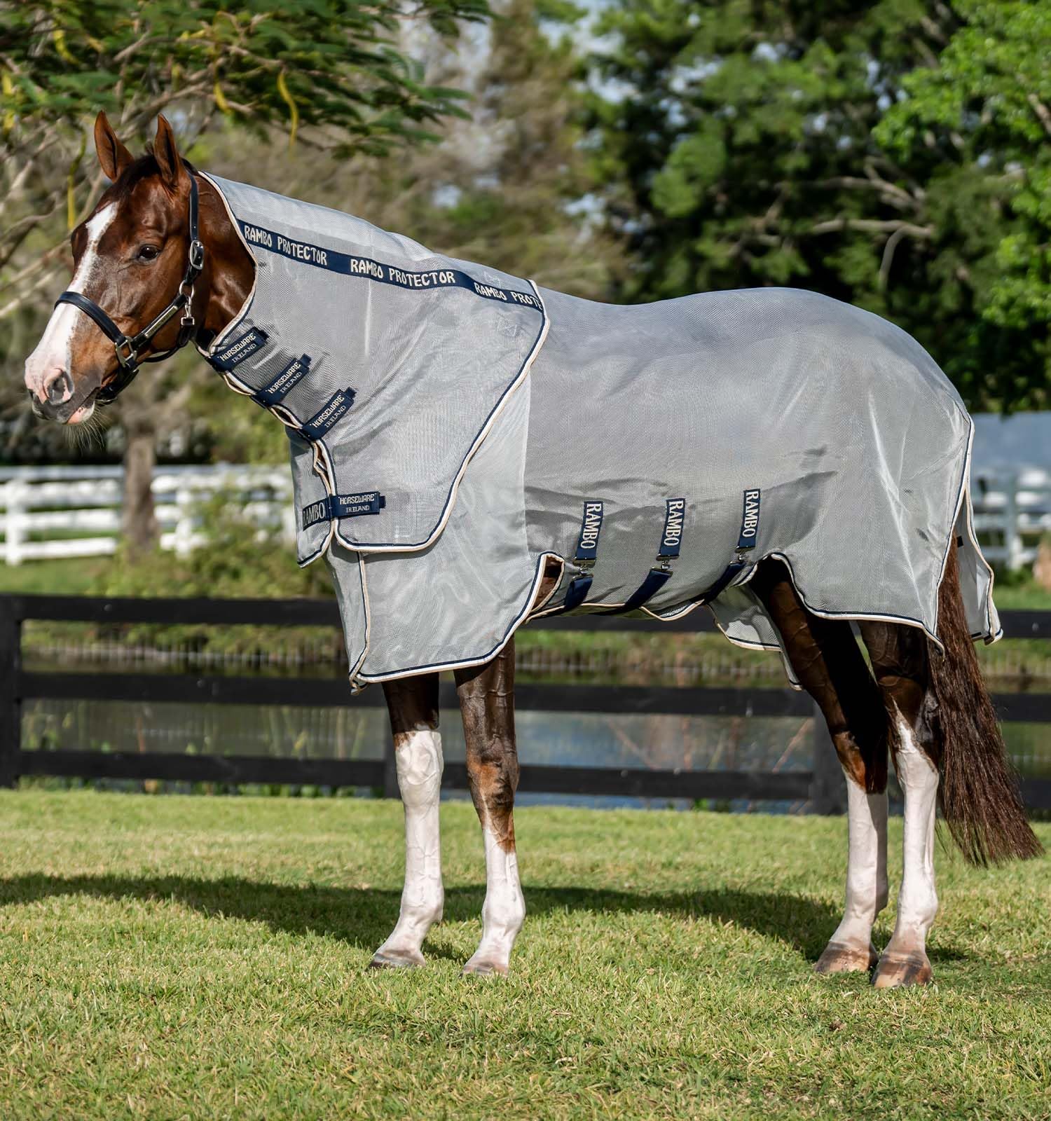 Horseware Protector Fieldsafe Plus - Telo anti-mosca