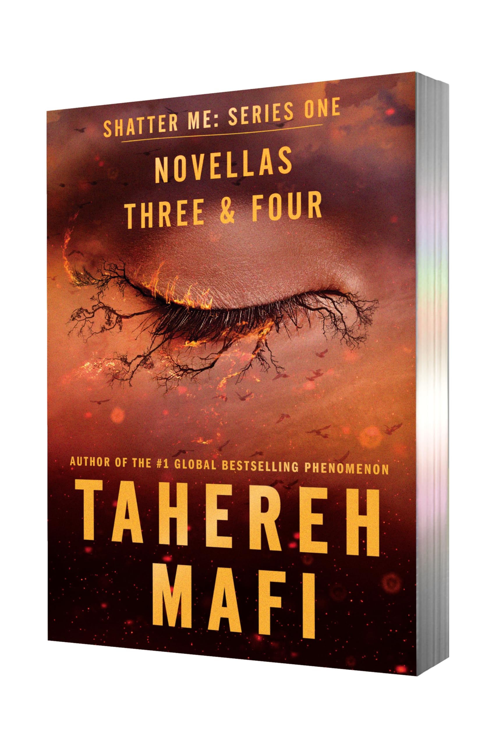 Find Me: Novellas Three & Four: Shadow Me and Reveal Me (Shatter Me: Series One)