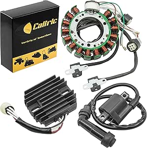 Sell Yamaha Warrior YFM350 Ricky Stator Ignition Coil In San Diego - Foto 11