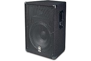 Yamaha BR15 15-inch 2-Way Loudspeaker